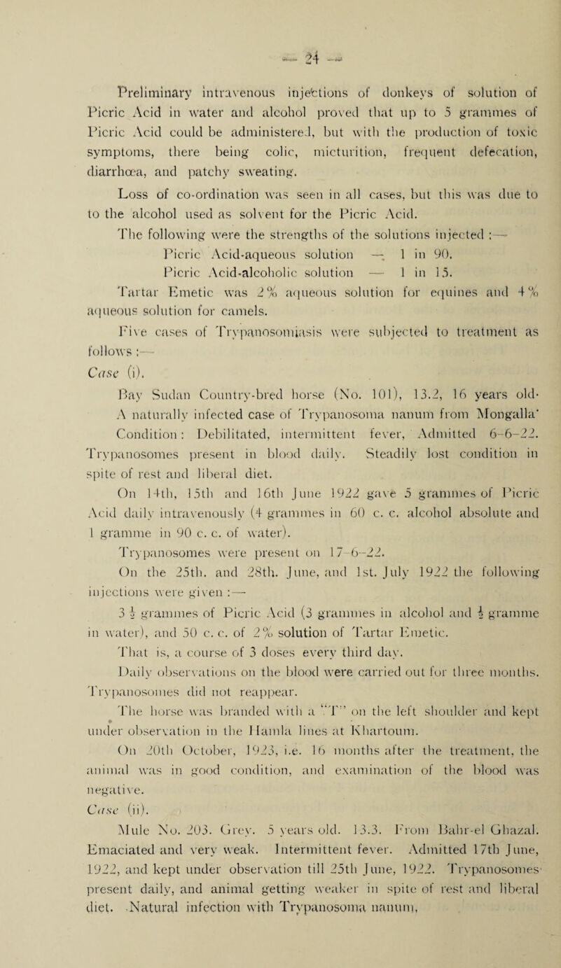 Preliminary intravenous injections of donkeys of solution of Picric Acid in water and alcohol proved that up to 5 grammes of Picric Acid could be administered, but with the production of toxic symptoms, there being colic, micturition, frequent defecation, diarrhoea, and patchy sweating. Loss of co-ordination was seen in all cases, but this was due to to the alcohol used as solvent for the Picric Acid. The following were the strengths of the solutions injected : Picric Acid-aqueous solution —, 1 in 90. Picric Acid-alcoholic solution — 1 in 15. Tartar Emetic was 2% aqueous solution for equines and 4% aqueous solution for camels. Five cases of Trypanosomiasis were subjected to treatment as follows Case (i). Bay Sudan Country-bred horse (No. 101), 13.2, 16 years old- A naturally infected case of Trypanosoma nanum from Mongalla* Condition : Debilitated, intermittent fever, Admitted 6-6-22. Trypanosomes present in blood daily. Steadily lost condition in spite of rest and liberal diet. On 14th, 15th and 16th June 1922 gave 5 grammes of Picric Acid daily intravenously (4 grammes in 60 c. c. alcohol absolute and 1 gramme in 90 c. c. of water). Trypanosomes were present on 17 6-22. On the 25th. and 28th. June, and 1st. July 1922 the following injections were given 3 \ grammes of Picric Acid (3 grammes in alcohol and 4 gramme in water), and 50 c. c. of 2% solution of Tartar Emetic. That is, a course of 3 doses every third day. Daily observations on the blood were carried out for three months. Trypanosomes did not reappear. The horse was branded with a UJ' on the left shoulder and kept under observation in the Hamla lines at Khartoum. On 20th October, 1923, i.e. 16 months after the treatment, the animal was in good condition, and examination of the blood was negative. Case (ii). Mule No. 203. Grey. 5 years old. 13.3. From Bahr-el Gbazal. Emaciated and very weak. Intermittent fever. Admitted 17th June, 1922, and kept under observation till 25th June, 1922. Trypanosomes present daily, and animal getting weaker in spite of rest and liberal diet. -Natural infection with Trypanosoma nanum,