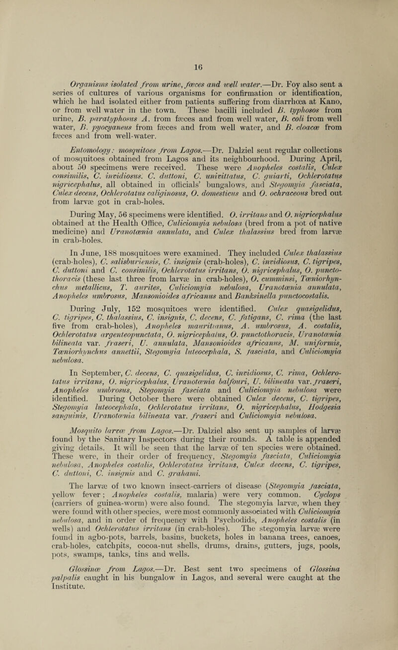 Organisms isolated from urine, forces and well water.—Dr. Foy also sent a series of cultures of various organisms for confirmation or identification, which he had isolated either from patients suffering from diarrhoea at Kano, or from well water in the town. These bacilli included B. typhosos from urine, B. paratyphosus A. from faeces and from well water, B. coli from well water, B. pyocyaneus from faeces and from well water, and B. doacce from fmces and from well-water. Entomology: mosquitoes from Lagos.-—Dr. Dalziel sent regular collections of mosquitoes obtained from Lagos and its neighbourhood. During April, about 50 specimens were received. These were Anopheles costalis, Cidex consimilis, C. invidiosus. C. duttoni, C. univittatus, C. guiarti, Ochlerotatus nigricephalus, all obtained in officials’ bungalows, and Stegomyia fasciata, Cidex deceits, Ochlerotatus caliginosus, 0. domesticus and 0. ochraceous bred out from larvae got in crab-holes. During May, 56 specimens were identified. 0. irritans and 0. nigricephalus obtained at the Health Office, Culiciomyia nebulosa (bred from a pot of native medicine) and Uranotcenia annulata, and Culex thalassius bred from larvae in crab-holes. In June, 188 mosquitoes were examined. They included Cidex thalassius (crab-holes), C. salisburiensis, C. insignis (crab-holes), C. invidiosus, C. tigripes, C. duttoni and C. consimilis, Ochlerotatus irritans, O. nigricephalus, O. puncto- thoracis (these last three from larvae in crab-holes), 0. cumminsi, Tceniorhyn- chus metallicus, T. aurites, Culiciomyia nebulosa, Uranotcenia annulata, Anopheles umbrosus, Mansonioides africanus and Banksinella punctocostalis. During July, 152 mosquitoes were identified. Cidex quasigelidus, C. tigripes, C. thalassius, C. insignis, C. decens, C. fatigans, C. rima (the last five from crab-holes), Anopheles mauritianus, A. umbrosus, A. costalis, Ochlerotatus argenteopunctata, O. nigricephalus, 0. punctothoracis, Uranotcenia bilineata var. fraseri, U. annulata, Mansonioides africanus, M. uniformis, Tceniorhynchus annettii, Stegomyia luteocephala, S. fasciata, and Culiciomyia nebulosa. In September, C. decens, C. quasigelidus, C. invidiosus, C. rima, Ochlero¬ tatus irritans, O. nigricephalus, Uranotcenia balfouri, U. bilineata var. fraseri, Anopheles umbrosus, Stegomyia fasciata and Culiciomyia nebulosa were identified. During October there were obtained Culex decens, C. tigripes, Stegomyia luteocephala, Ochlerotatus irritans, 0. nigricephalus, Hodgesia sanguinis, Uranotcenia bilineata var. fraseri and Culiciomyia nebulosa. Mosquito larvae from Lagos.—Dr. Dalziel also sent up samples of larvae found by the Sanitary Inspectors during their rounds. A table is appended giving details. It will be seen that the larvae of ten species were obtained. These were, in their order of frequency, Stegomyia fasciata, Culiciomyia nebulosa, Anopheles costalis, Ochlerotatus irritans, Culex decens, C. tigripes, C. duttoni, C. insignis and C. grahami. The larvae of two known insect-carriers of disease (Stegomyia fasciata, yellow fever; Anopheles costalis, malaria) were very common. Cyclops (carriers of guinea-worm) were also found. The stegomyia larvae, when they were found with other species, were most commonly associated with Culiciomyia nebulosa, and in order of frequency with Psychodids, Anopheles costalis (in wells) and Ochlerotatus irritans (in crab-holes). The stegomyia larvae were found in agbo-pots, barrels, basins, buckets, holes in banana trees, canoes, crab-holes, catchpits, cocoa-nut shells, drums, drains, gutters, jugs, pools, pots, swamps, tanks, tins and wells. Glossince from Lagos.—Dr. Best sent two specimens of Glossina palpalis caught in his bungalow in Lagos, and several were caught at the Institute.