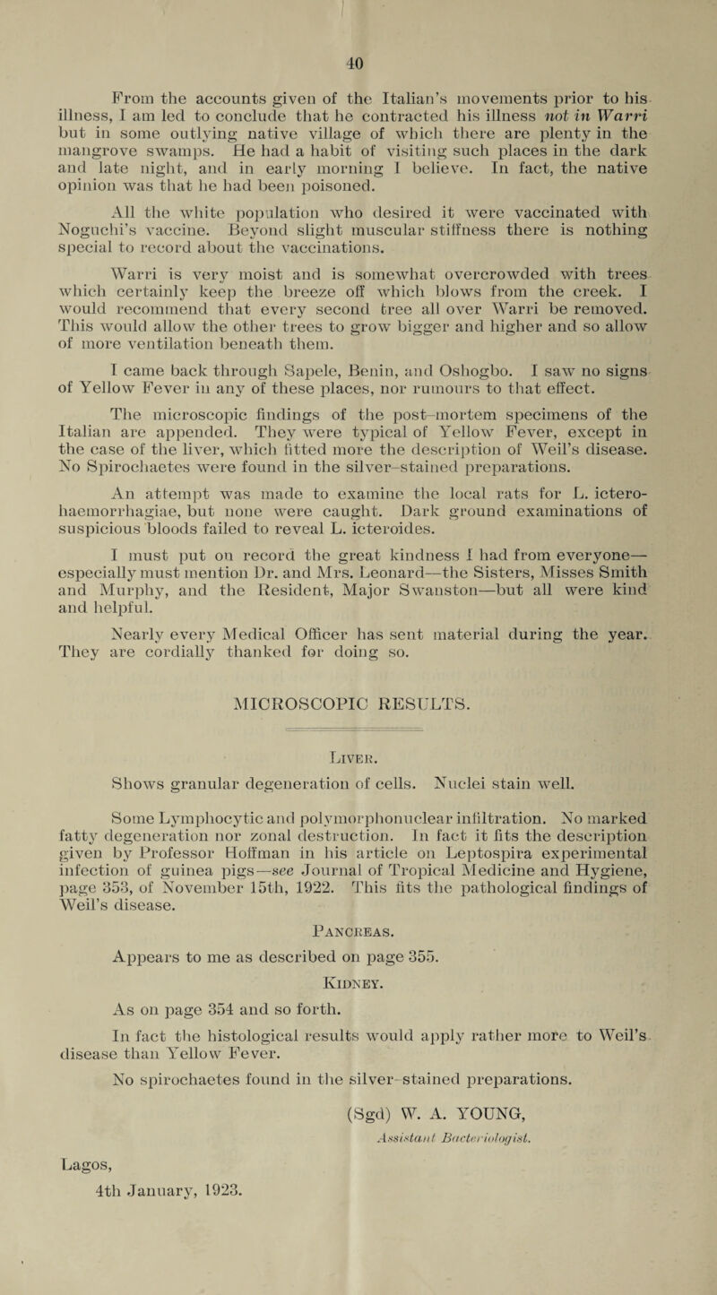 From the accounts given of the Italian’s movements prior to his illness, I am led to conclude that he contracted his illness not in Warri but in some outlying native village of which there are plenty in the mangrove swamps. He had a habit of visiting such places in the dark and late night, and in early morning I believe. In fact, the native opinion was that he had been poisoned. All the white population who desired it were vaccinated with Noguchi’s vaccine. Beyond slight muscular stiffness there is nothing special to record about the vaccinations. Warri is very moist and is somewhat overcrowded with trees which certainly keep the breeze off which blows from the creek. I would recommend that every second free all over Warri be removed. This would allow the other trees to grow bigger and higher and so allow of more ventilation beneath them. I came back through Sapele, Benin, and Osliogbo. I saw no signs of Yellow Fever in any of these places, nor rumours to that effect. The microscopic findings of the post-mortem specimens of the Italian are appended. They were typical of Yellow Fever, except in the case of the liver, which fitted more the description of Weil’s disease. No Spirochaet.es were found in the silver-stained preparations. An attempt was made to examine the local rats for L. ictero- haemorrhagiae, but none were caught. Dark ground examinations of suspicious bloods failed to reveal L. icteroides. I must put on record the great kindness I had from everyone— especially must mention Dr. and Mrs. Leonard—the Sisters, Misses Smith and Murphy, and the Resident, Major Swanston—but all were kind and helpful. Nearly every Medical Officer has sent material during the year. They are cordially thanked for doing so. MICROSCOPIC RESULTS. Liver. Shows granular degeneration of cells. Nuclei stain well. Some Lymphocytic and polymorphonuclear infiltration. No marked fatty degeneration nor zonal destruction. In fact it fits the description given by Professor Hoffman in his article on Leptospira experimental infection of guinea pigs—see Journal of Tropical Medicine and Hygiene, page 353, of November 15th, 1922. This fits the pathological findings of Weil’s disease. Pancreas. Appears to me as described on page 355. Kidney. As on page 354 and so forth. In fact the histological results would apply rather more to Weil’s disease than Yellow Fever. No spirochaetes found in the silver- stained preparations. (Sgd) W. A. YOUNG, Assistant Bacteriologist. Lagos, 4tli January, 1923.