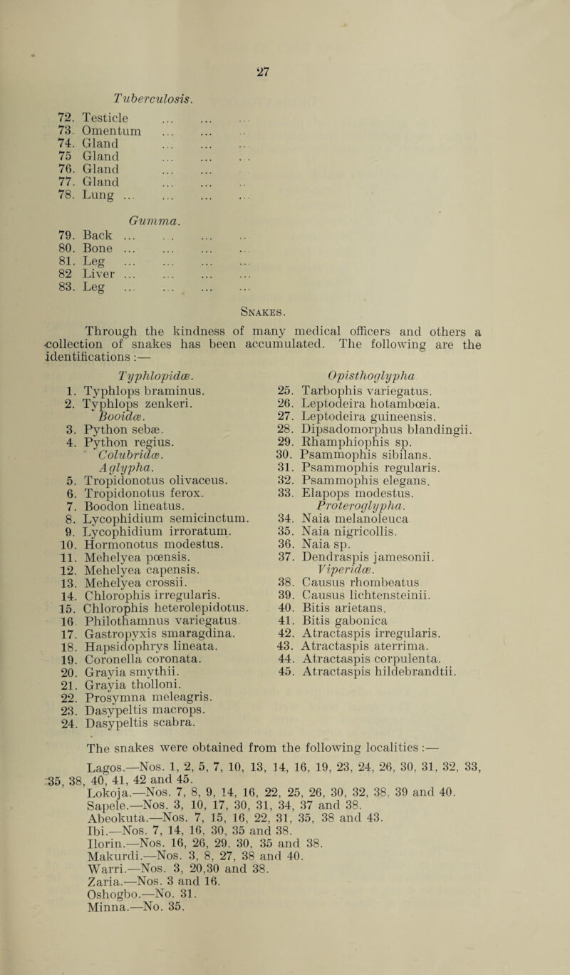 Tuberculosis. 72. Testicle 73. Omentum 74. Gland 75 Gland 76. Gland 77. Gland 78. Lung ... Gumma. 79. Back. 80. Bone ... 81. Leg . 82 Liver ... 83. Leg . Snakes. Through the kindness of many medical officers and others a •collection of snakes has been accumulated. The following are the .identifications : — Typhlopidce. 1. Typhlops braminus. 2. Typhlops zenkeri. Booidce. 3. Python sebae. 4. Python regius. Colubridce. Aglypha. 5. Tropidonotus olivaceus. 6. Tropidonotus ferox. 7. Boodon lineatus. 8. Lycophidium semicinctum. 9. Lycophidium irroratum. 10. Hormonotus modestus. 11. Mehelyea poensis. 12. Mehelyea capensis. 13. Mehelyea crossii. 14. Chlorophis irregularis. 15. Chlorophis heterolepidotus. 16. Philothamnus variegatus. 17. Gastropyxis smaragdina. 18. Hapsidophrys lineata. 19. Coronella coronata. 20. Grayia smythii. 21. Grayia tholloni. 22. Prosymna meleagris. 23. Dasypeltis macrops. 24. Dasypeltis scabra. Opisthoglypha 25. Tarbophis variegatus. 26. Leptodeira hotamboeia. 27. Leptodeira guineensis. 28. Dipsadomorphus blandingii. 29. Rhamphiophis sp. 30. Psammophis sibilans. 31. Psammophis regularis. 32. Psammophis elegans. 33. Elapops modestus. Proteroglypha. 34. Naia melanoleuca 35. Naia nigricollis. 36. Naia sp. 37. Dendraspis jamesonii. Viperidce. 38. Causus rhombeatus 39. Causus lichtensteinii. 40. Bitis arietans. 41. Bitis gabonica 42. Atractaspis irregularis. 43. Atractaspis aterrima. 44. Atractaspis corpulenta. 45. Atractaspis hildebrandtii. The snakes were obtained from the following localities : — Lagos.—Nos. 1, 2, 5, 7, 10, 13, 14, 16, 19, 23, 24, 26, 30, 31, 32, 33, 35, 38, 40, 41, 42 and 45. Lokoja.—Nos. 7, 8, 9, 14, 16, 22, 25, 26, 30, 32, 38. 39 and 40. Sapele.—Nos. 3, 10, 17, 30, 31, 34, 37 and 38. Abeokuta.—Nos. 7, 15, 16, 22, 31, 35, 38 and 43. Ibi.—Nos. 7, 14, 16, 30, 35 and 38. Ilorin.—Nos. 16, 26, 29, 30, 35 and 38. Makurdi.—Nos. 3, 8, 27, 38 and 40. Warri.—Nos. 3, 20,30 and 38. Zaria.—Nos. 3 and 16. Oshogbo.—No. 31. Minna.—No. 35.