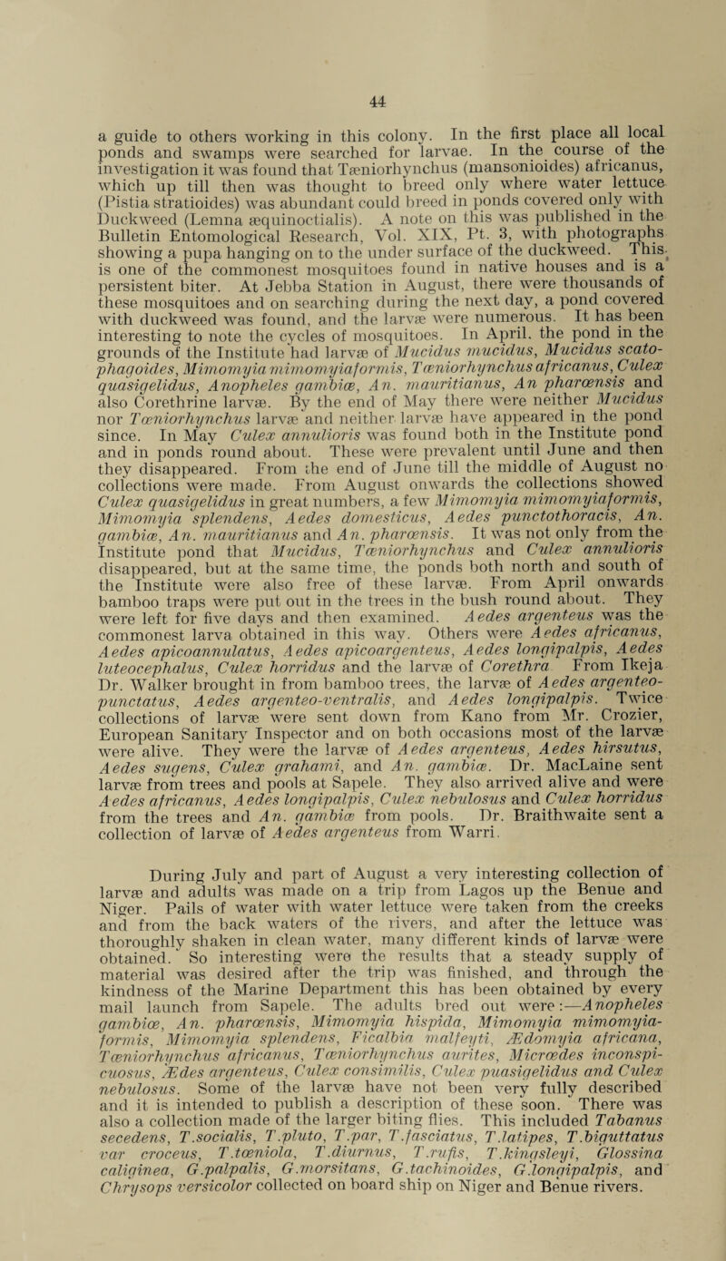 a guide to others working in this colony. In the first place all local ponds and swamps were searched for larvae. In the course of the investigation it was found that Taeniorliynchus (mansonioides) africanus, which up till then was thought to breed only where water lettuce (Pistia stratioides) was abundant could breed in ponds covered only with Duckweed (Lemna sequinoctialis). A note on this was published in the Bulletin Entomological Research, Yol. XIX, Pt. 3, with photographs showing a pupa hanging on to the under surface of the duckweed. This- is one of the commonest mosquitoes found in native houses and is a persistent biter. At Jebba Station in August, there were thousands of these mosquitoes and on searching during the next day, a pond covered with duckweed was found, and the larvae were numerous. It has been interesting to note the cycles of mosquitoes. In April, the pond in the grounds of the Institute had larvae of Mucidus mucidus, Mucidus scato- phagoides, Mimomyia mimomyiaformis, T ceniorhynchus africanus, Culex quasigelidus, Anopheles gambice, An. mauritianus, An pharoensis and also Corethrine larvae. By the end of May there were neither Mucidus nor Tceniorhynchus larvae and neither larvae have appeared in the pond since. In May Culex annulioris was found both in the Institute pond and in ponds round about. These were prevalent until June and then they disappeared. From the end of June till the middle of August no collections were made. From August onwards the collections showed Culex quasigelidus in great numbers, a few Mimomyia mimomyiaformis, Mimomyia splendens, Aedes domesticus, Aedes punctothoracis, An. ganibice, An. mauritianus and An. pharoensis. It was not only from the institute pond that Mucidus, Tceniorhynchus and Culex annulioris disappeared, but at the same time, the ponds both north and south of the Institute were also free of these larvae. From April onwards bamboo traps were put out in the trees in the bush round about. They were left for five days and then examined. A edes argenteus was the commonest larva obtained in this way. Others were Aedes africanus, Aedes apicoannulatus, Aedes apicoargenteus, Aedes longipalpis, Aedes luteocephalus, Culex horridus and the larvae of Corethra From Ikeja Dr. Walker brought in from bamboo trees, the larvae of Aedes argenteo- punctatus, Aedes argenteo-ventralis, and Aedes longipalpis. Twice collections of larvae were sent down from Kano from Mr. Crozier, European Sanitary Inspector and on both occasions most of the larvae were alive. They were the larvae of Aedes argenteus, Aedes hirsutus, Aedes sugens, Culex grahami, and An. gambice. Dr. MacLaine sent larvae from trees and pools at Sapele. They also arrived alive and were Aedes africanus, Aedes longipalpis, Culex nebulosus and Culex horridus from the trees and An. gambice from pools. Dr. Braithwaite sent a collection of larvae of Aedes argenteus from Warri. During July and part of August a very interesting collection of larvae and adults was made on a trip from Lagos up the Benue and Niger. Pails of water with water lettuce were taken from the creeks and from the back waters of the rivers, and after the lettuce was thoroughly shaken in clean water, many different kinds of larvae were obtained . So interesting were the results that a steady supply of material was desired after the trip was finished, and through the kindness of the Marine Department this has been obtained by every mail launch from Sapele. The adults bred out were:—Anopheles gambioe, An. pharoensis, Mimomyia hispida, Mimomyia mimomyia¬ formis, Mimomyia splendens, Ficalbia malfeyti, AEdomyia africana, Tceniorhynchus africanus, Tceniorhynchus aurites, Microedes inconspi- cuosus, AEdes argenteus, Culex consimilis, Culex puasigelidus and Culex nebulosus. Some of the larvae have not been very fully described and it is intended to publish a description of these soon. There was also a collection made of the larger biting flies. This included Tabanus secedens, T.socialis, T.pluto, T.par, T.fasciatus, T.latipes, T.biguttatus var croceus, T .toeniola, T.diurnus, T.rufis, T .kingsleyi, Glossina caliginea, G.palpalis, G.morsitans, G.tachinoides, G.longipalpis, and Chrysops versicolor collected on board ship on Niger and Benue rivers.