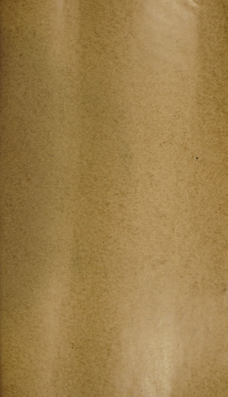 ? . ■ , ‘ V .• . t. ■ I* If'*.' .- vi :< ' *:-V 1 ' *7 'J'r; *•. :: : > \V- SP; f*V. M