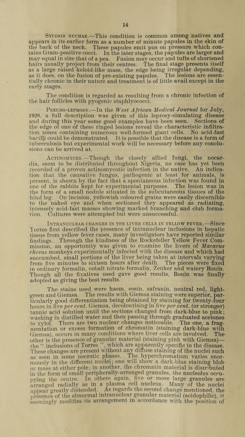 Sycosis nuchae.—This condition is common among natives and appears in its earlier form as a number of minute papules in the skin of the back of the neck. These papules emit pus on pressure which con¬ tains Gram-positive cocci. In the later stages, the papules are larger and may equal in size that of a pea. Fusion may occur and tufts of shortened hairs usually project from their centres. The final stage presents itself as a large raised'keloid-like mass, the edge being irregular depending, as it does, on the fusion of pre-existing papules. The lesions are essen¬ tially chronic in their nature and treatment is of little avail except in the early stages. The condition is regarded as resulting from a chronic infection of the hair follicles with pyogenic staphlyococci. Pseueo-leprosy.—In the West African Medical Journal for July, 1928, a full description was given of this leprosy-simulating disease and during this year some good examples have been seen. Sections of the edge of one of these ringed lesions reveal the characteristic infiltra¬ tion zones containing numerous well-formed giant cells. No acid-fast bacilli could be demonstrated. It is possible that the disease is a form of tuberculosis but experimental work will be necessary before any conclu¬ sions can be arrived at. Actinomyces.—Though the closely allied fungi, the nocar- dia, seem to be distributed throughout Nigeria, no case has yet been recorded of a proven actinomycotic infection in the native. An indica¬ tion that the causative fungus, pathogenic at least for animals, is present, is shown by the fact that a spontaneous infection was found in one of the rabbits kept for experimental purposes. The lesion was in the form of a small nodule situated in the subcutaneous tissues of the hind leg. On incision, yellowish coloured grains were easily discernible to the naked eye and when sectioned they appeared as radiating, intensely acid-fast masses showing marked branching and club forma¬ tion. Cultures were attempted but were unsuccessful. Intranuclear changes in the liver cells in yellow fever.—Since T orres first described the presence of intranuclear inclusions in hepatic tissue from yellow fever cases, many investigators have reported similar findings. Through the kindness of the Rockefeller Yellow Fever Com¬ mission, an opportunity was given to examine the livers of Macacus rhesus monkeys experimentally infected with the disease and which had succumbed, small portions of the liver being taken at intervals varying from five minutes to sixteen hours after death. The pieces Were fixed in ordinary formalin, cobalt nitrate formalin, Zenker and watery Bouin. Though all the fixatives used gave good results, Bouin was finally adopted as giving the best results. The stains used were haem, eosin, safranin, neutral red, light- green and Giemsa. The results with Giemsa staining were superior, par¬ ticularly good differentiation being obtained by staining for twenty-four hours in five per cent. Giemsa, decolourising in five per cent, (or stronger) tannic acid solution until the sections changed from dark-blue to pink; washing in distilled water and then passing through graduated acetones to xylol. There are two nuclear changes noticeable. The one, a frag¬ mentation or excess formation of chromatin (staining dark-blue with Giemsa), occurs in many conditions where liver cells are involved. The other is the presence of granular material (staining pink with Giemsa)— the “ inclusions of Torres ”, which are apparently specific to the disease. These changes are present without any diffuse staining of the nuclei such as seen in some necrotic phases. The hyperchromatism varies enor¬ mously in the different nuclei; one will show a dark-blue staining blob or mass at either pole; in another, the chromatin material is distributed in the form of small peripherally-arranged granules, the nucleolus occu- pying the centre. In others again, five or more large granules are arranged radially as in a plasma cell nucleus. Many of the nuclei appear greatly distended. As regards the second change mentioned, the presence of the abnormal intranuclear granular material (acidophilic), it seemingly modifies its arrangement in accordance with the position of