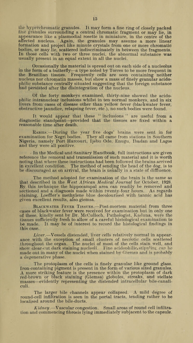 the hvperchromatic granules. It may form a fine ring of closely packed fine granules surrounding a central chromatic fragment or may lie, in appearance like a plasmodial rosette in miniature, in the centre of the affected nucleus. Again, the granules may assume a more linear formation and project like minute crystals from one or more chromatic bodies, or may lie, scattered indiscriminately in between the fragments. In those cells with two or three nuclei, the abnormal substance was usually present in an equal extent in all the nuclei. Occasionally the material is spread out on each side of a nucleolus in the form of a butterfly—a type noted by Torres to be more frequent in the Brazilian tissues. Frequently cells are seen containing neither nucleus nor chromatin masses, but show a mass of finely granular acido¬ philic substance centrally situated suggesting that the foreign substance had persisted after the disintegration of the nucleus. * Of the forty monkeys examined, thirty-nine showed the acido¬ philic intranuclear inclusions whilst in ten normal monkeys, and in six livers from cases of disease other than yellow fever (blackwater fever, obstructive jaundice, relapsing fever, etc.), no such bodies were found. It would appear that these “ inclusions ” are useful from a diagnostic standpoint—provided that the tissues are fixed within a reasonable time after death. Rabies.—During the year five dogs’ brains were sent in for examination for Negri bodies. They all came from stations in Southern Nigeria, namely Port Harcourt, Ijebu Ode, Enugu, Ibadan and Lagos and they were all positive. . In the Medical and Sanitary Handbook, full instructions are given reference the removal and transmission of such material and it is worth noting that where these instructions had been followed the brains arrived in excellent condition. The method of sending the head of the dog, is to be discouraged as on arrival, the brain is usually in a state of diffluence. The method adopted for examination of the brain is the same as that described in the West African Medical Journal for October, 1928. By this technique the hippocampal area can readily be removed and sectioned and a diagnosis made within twenty-four hours. As regards staining, Loeffler’s methylene blue decolourised with tannic acid has given excellent results, also giemsa. Blackwater Fever Tissues.—Post-mortem material from three cases of blackwater fever were received for examination but in only one of these, kindly sent by Dr. McCulloch, Pathologist, Kaduna, were the tissues sufficiently fresh to allow of a careful histological examination to be made. It may be of interest to record the histological findings in this case. Liver.—Vessels distended, liver cells relatively normal in appear¬ ance with the exception of small clusters of necrotic cells scattered throughout the organ. The nuclei of most of the cells stain well, and show clear-cut dark staining nucleoli. Fine acidophilic, stipphng can be made out in many of the nuclei when stained by Giemsa and is probably a degenerative phase. The protoplasm of the cells is finely granular like ground glass. Iron-containing pigment is present in the form of various sized granules. A more striking feature is the presence within the protoplasm of dark red-brown or black staining (Giemsa) globules, streaks, and stellate masses—evidently representing the distended intracellular bile-canali- culi. The larger bile channels appear collapsed. A mild degree of round-cell infiltration is seen in the portal tracts, tending rather to be localised around the bile-ducts. Kidney.—Vascular congestion. Small areas of round cell infiltra¬ tion and commencing fibrosis lying immediately subjacent to the capsule.