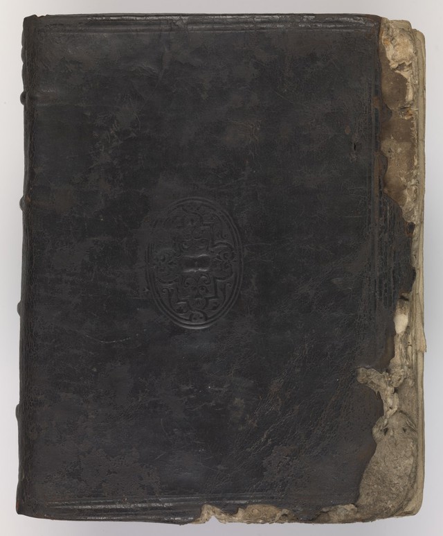 No text description is available for this image