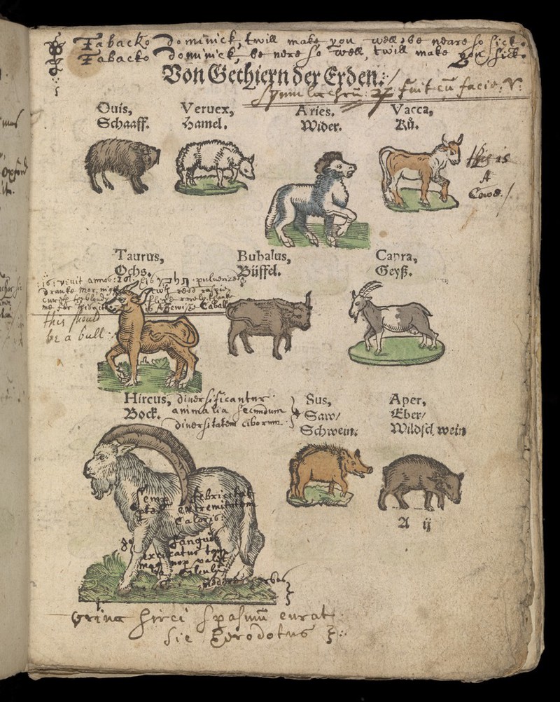 No text description is available for this image