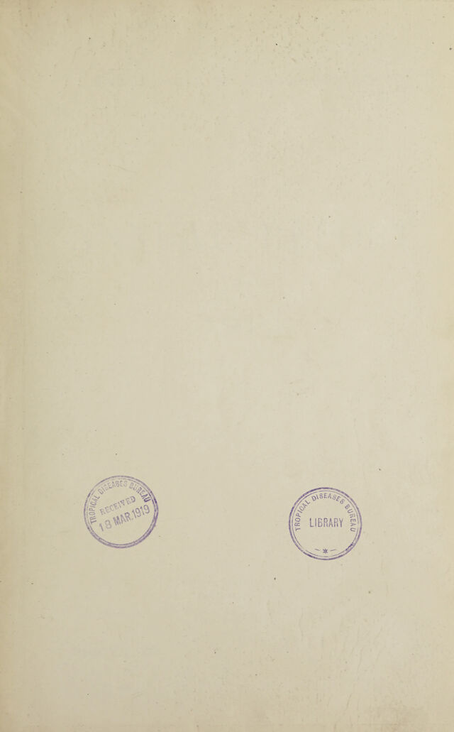 digitised image 3