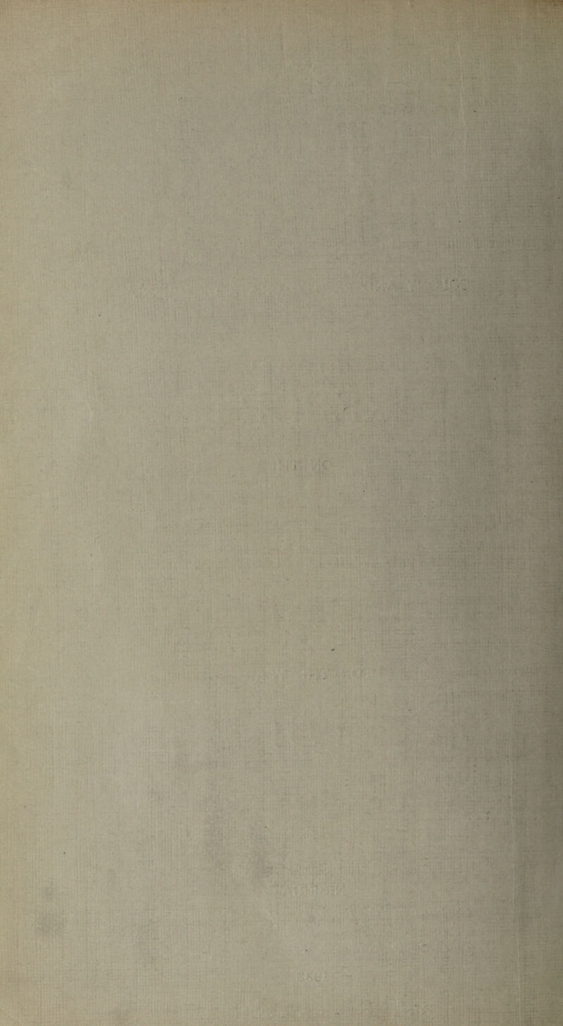 ' __ ■ v*-. » . r ■ • :. C : V I - ' - i‘ * ■ ■ ••