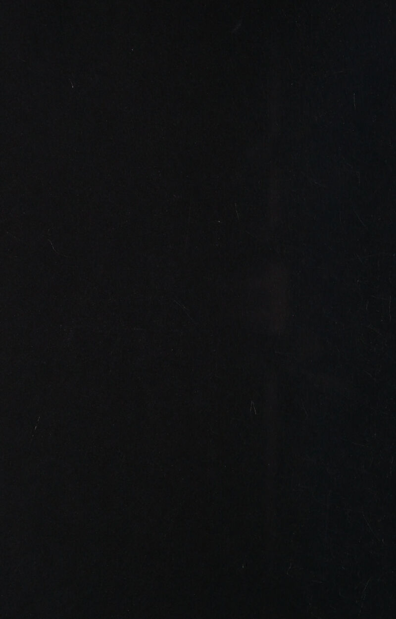  ~ pr ‘© ee : oe a y ais Oh foe ‘ ; fe ‘