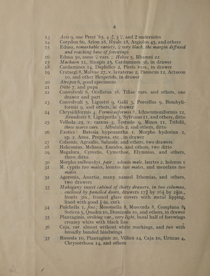 Acts g, one Prest '65, 4 ¢, 3 9, and 2 undersides Corydon 60, Arion 18, Hyale 18, Argiolus 45, and others Edusa, remarkable variety, 2 very black, the margin diffused and reaching base of forewings Edusa 50, some @ vars. ; Helice 5, Rhamni 22 Machaon 11, Sinapis 25, Cardamines 36, in drawer - Cardamines 14, Daplidice 2, Pieris vars., in drawer Crataegi 8, Malvae 27, v. lavaterae 2, Paniscus 12, Actaeon ro, and other Hesperids, in drawer Atropos 6, good specimens Ditto 7, and pupa Convolvuli 6, Ocellatus 16, Tiliae vars. and others, one drawer and part Convolvuli 5, Ligustri 9, Galii 3, Porcellus 9, Bombyli- formis 9, and others, in drawer Chrysidiformis 4, Formicaeformis 8, Ichneumoniformis 12, Arundimts 8, Ligniperda 3, Sylvinus 11, and others, ditto Velleda 25, v. carnus 3, Testudo 9, Minos 11, Trifolti, three scarce vars. ; Albulalis 2, and others, ditto Exotics: Batesia hypoxantha 1 Morpho hydorina 2, sp. 2. Anea, Prepona, etc., in drawer Colaenis, Agraulis, Salamis, and others, two drawers Heliconius, Melinea, Eueides, and others, two ditto Megalura, Cyrestis, Cymothoe, Elymnias, and others, three ditto Morpho sulkowsky1, pair ; adonis male, laertes 2, helenus 1 M. cypris two males, leontes two males, and menelaus two males Ageronia, Anartia, many named Ithomias, and others, two drawers Mahogany insect cabinet of thirty drawers, in two columns, enclosed by panelled doors, drawers 17% by 164 by 2¢4in., fronts 3in., framed glass covers with metal lipping, lined with good } +-in. cork Pulchella 1, fine ; Mesomella 8, Muscerda 8, Complana 8; Sericea 5, Quadra 10, Dominula 10, and others, in drawer Plantaginis, striking var., very light, basal half of forewings creamy white with black fine Caja, vary. almost without white markings, and two with broadly banded hindwings Russula ro, Plantaginis 20, Villica 14, Caja 10, Urticae 4, Chrysorrhoea 14, and others