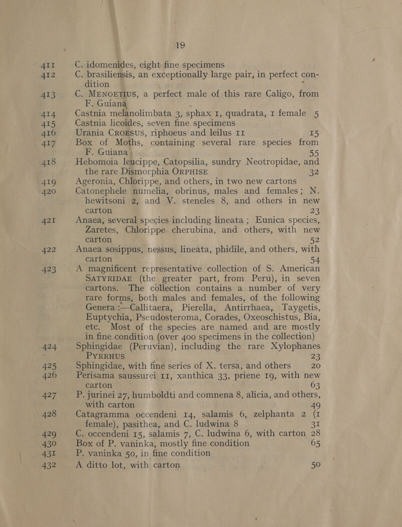 422 423 424 425 426 427 428 429 430 431 432 19 C. idomenides, eight fine specimens C. brasiliensis, an exceptionally large pair, in perfect con- dition C. MENOETIUS, a perfect male of this rare Caligo, from F. Guiana Castnia melanolimbata 3, sphax by quadrata, 1 female 5 Castnia licoides, seven fine specimens Urania CROESUS, riphoeus and leilus 11 15 Box of Moths, containing several rare species from F. Guiana ; 55 Hebomoia leucippe, Catopsilia, sundry Neotropidae, and the rare Dismorphia ORPHISE 432 Ageronia, Chlorippe, and others, in two new cartons Catonephele numelia, obrinus, males and females; N. hewitsoni 2, and VY. steneles 8, and others in new carton 23 Anaea, several species including lineata ; Eunica species, Zaretes, Chlorippe cherubina, and others, with new carton 52 Anaea sosippus, nessus, lineata, phidile, and others, with carton A magnificent representative collection of 5S. American SATYRIDAE (the greater. part, from Peru), in seven cartons. The collection contains a number of very rare forms, both males and females, of the following Genera Callitaera, Pierella, Antirrhaea, Taygetis, Euptychia, Pscudmeteroma, Corades, Oxeoschistus, Bia, etc. Most of the species are named and are mostly in fine condition (over 400 specimens in the collection) Sphingidae (Peruvian), including the rare Xylophanes PYRRHUS 23 Sphingidae, with fine series of X. tersa, and others 20 Perisama saussurei I1, xanthica 33, priene 19, with new carton 63 P. jurinei 27, humboldti and comnena 8, alicia, and others, with carton 4 Catagramma occendeni 14, salamis 6, zelphanta 2 (I female), pasithea, and C. ludwina 8 31 C. occendeni 15, salamis 7, C. ludwina 6, with carton 28 Box of P. vaninka, mostly fine condition 65 P. vaninka 50, in fine condition A ditto lot, with carton 50