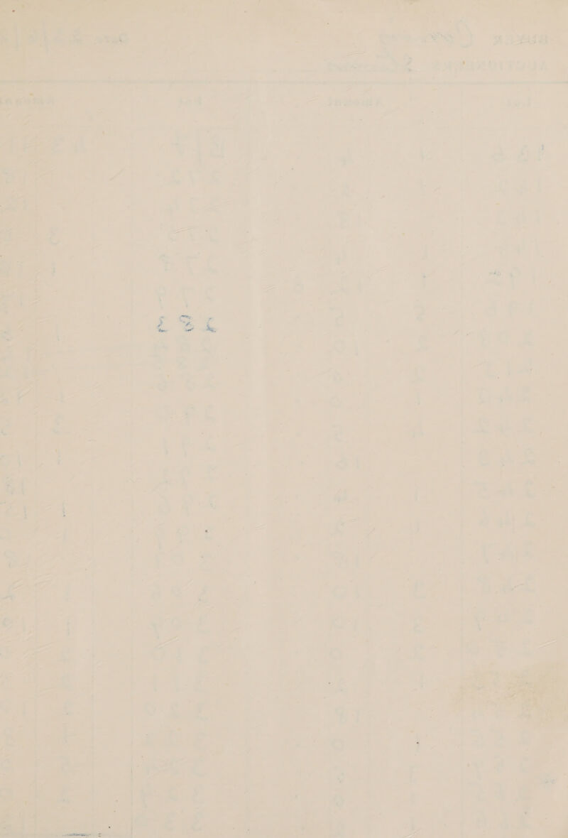     2WAIZOTTIUA  sau ‘ 7 4 ve sit 7 = 7 2 i 2 BN Spee rs = ¢ U : Tn -&amp;  faa 4 5 is Re She Tee a, ea 2 ioe 2, eo % ie 4 . Sieh (ve ee Drs. ae a >= 7 aT, % - BS - a 7 ee Aunts — ‘ F A ; 4 y hr \ — 1 P [ | ‘ ab gute y---4) 4 - all romney  af % et ; a geal Saye in Tiel 2 . : a> op iy 2 here it rer eG aes, any pe wr Hey) yi Be ; 7 a5 1 Ge : i ¥ : . 7 ¥ 7 . a i ' : yy ; <s [ ; . ‘* - ; i’ ‘ : : = _ : : - : a | | ; ; 7 i > ee me _ 5 ; . a v a ‘a rl + ; i, rl ; . E : a ; - LN { aS : F ; 7 A = ’ i Y : 7 ‘ ; 7 7 ip eet b phn a a cart she see