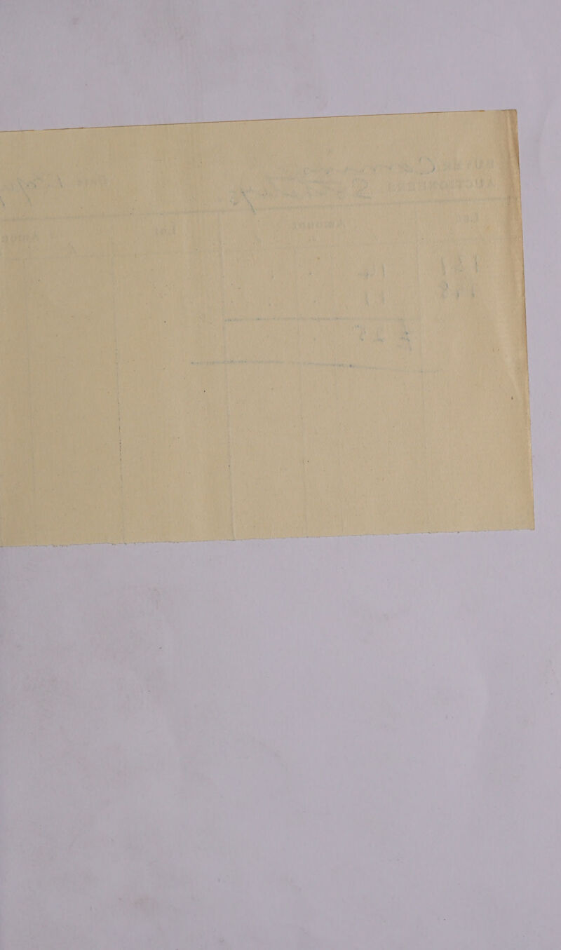     Wide np ne A sy SREP  eed BY (fi '       Rass Haas yo ageing, ’ > 4 Pat ' ,    Cup, fan anen vin bor ais Vt Say 7 Ais. SENT iN Bs   ‘4 Eh. bree ah Pa ie ity ak Pa    Pced Wee eae | MoE re       , hae est Se _    : a fi , ’ yy rae eed ee Sos bee! a enemies  a} . 7. MA ’ AA * c ‘ — a