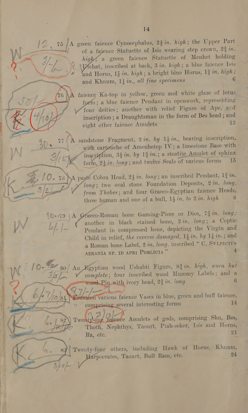 . | {¢ te Ja ereen faience Cynocephalus, 24 1. high; the Upper Part | | of a fajence Statuette of Isis wearing step crown, 2% in. hight a green faience Statuette of Menhet holding chat, inscribed at back, 3 in. high; a blue faience Isis and Horus, 13 in. high; a bright blue Horus, 12 in. high; and Khnum, 1} in., all fine specimens 6                               faience Ka-top in yellow, green and white glaze of lotus forfn ; a blue faience Pendant in openwork, representing four deities; another with relief Figure of Ape, and inscription ; a Draughtsman in the form of Bes head; and eight other faience Amulets 12 | ; A sandstone Fragment, 2in. by 1$in., bearing inscription, | with car (che of Amenhetep IV; a limestone Base with 4/; “inscription, 341n. by 1fin.; a steatite. Amulet of sphinx EA form, 24 in. long; and ieee Seals of various forms 15   IO © ie KA paste Cobra Head, 24 in. long; an niseribed Pendant, 127. eb A 71009 two oval stone Foundation Deposits, 2in. long, be ai from Thebes; and four Graeco- Egyptian faience Heads, bake human ‘and one of a bull, 1g in. to 2in. high 8 TO&lt;79 | A wseco-Roman pone Gaming-Piece or Dice, 7 in. long ; f h} i once in black stained bone, 2in. long; a Coptic ot fan hea Pendant in compressed bone, depicting the Virgin and Child in relief, the reverse damaged, 13 in. by 14 im.; and a Roman bone Label, 2 in. long, inscribed “ C. Sy LPICIYS AERANIA SP. ID APRI POBLICIA ” 4  [ Q- 7 3q/ a ee wood Ushabti Figure, 82in. high, worn but complete; four inscribed wood Mummy Labels; and a sep Bi ff me—rOOtT WALD, ivory head, 22. long 6 } / ee rieen various faience Vases in blue, green and buff faience, several interesting forms 14 ¥ &gt; ipl ience Amulets of gods, comprising Shu, Bes, Thoth, Nephthys, Taourt, Ptah-seker, Isis and Horus, Ra, ete. a. 21 | 'Twenty- four others, including Hawk of Horus, Khnum, rpocrates, Taourt, Bull Ram, ete. 24