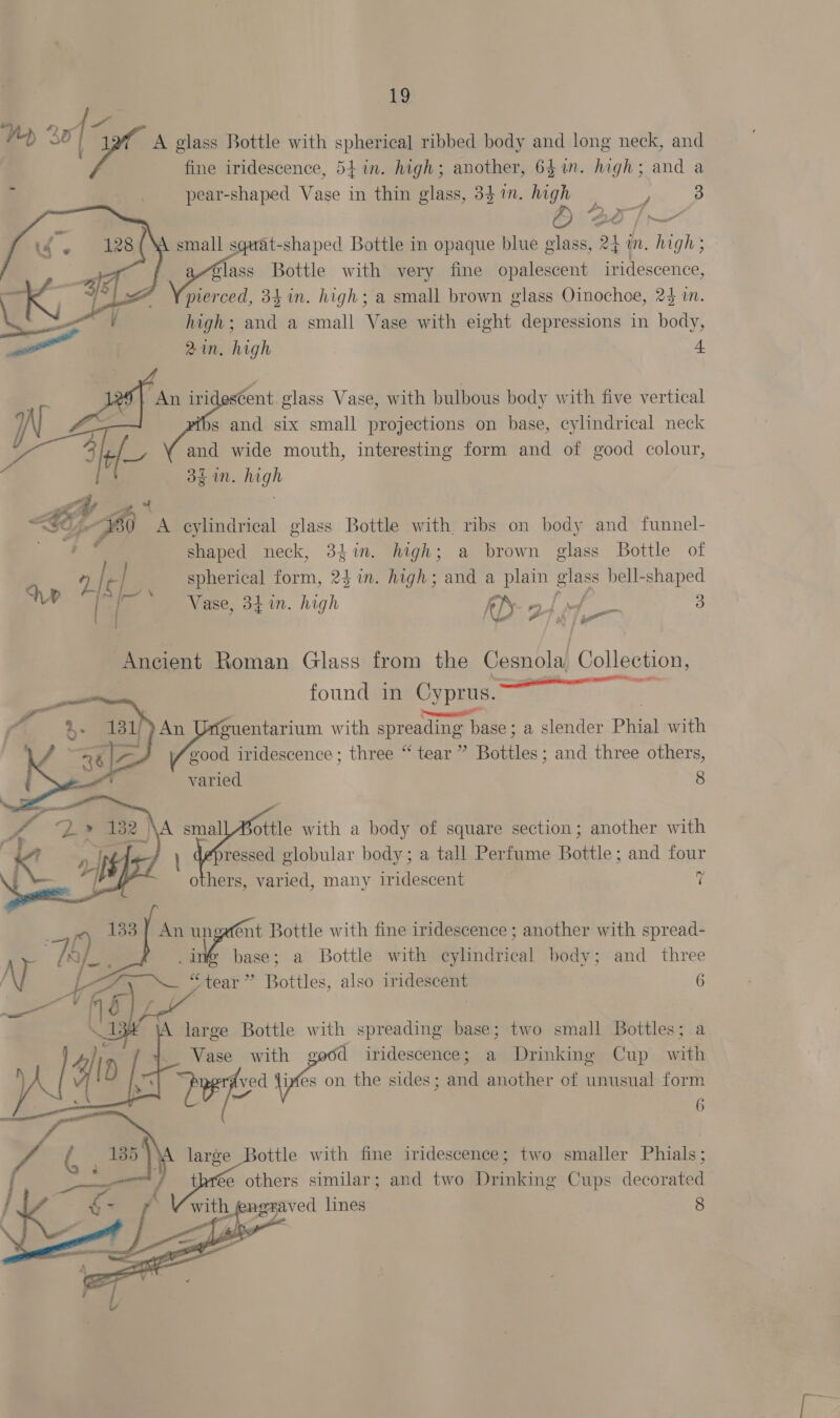 *) ‘| ~ Yh Ww re A glass Bottle with spherical ribbed body and long neck, and fine iridescence, 54 in. high; another, 641n. high; and a pear-shaped Vase in thin glass, 34%. high oY 3 oy | - A — ts : —    TR mall sqaat-shaped Bottle in opaque blue glass, 24 in. high ; \ 3s Bottle with very fine opalescent iridescence, pierced, 34 in. high; a small brown glass Oinochoe, 24 i. N —S LT . high; and a small Vase with eight depressions in body, 2in. high 4.  cent. glass Vase, with bulbous body with five vertical ibs and six small projections on base, cylindrical neck and wide mouth, interesting form and of good colour, 3¢ in. high  Sp P50 A cylindrical glass Bottle with ribs on body and funnel- a shaped neck, 34in. high; a brown glass Bottle of a / | spherical form, 23 in. high; and a plain glass bell-shaped IU o&gt; enn tE cas . | ase, 34 in. high ky of 3 Ancient Roman Glass from the Cesnola, Collection, ages cAOS found in Cyprus. wenn guentarium with spreading base; a slender Phial with / ood iridescence ; three “ tear ” Hotiles: and three others, varied 8   ottle with a body of square section; another with ressed globular body; a tall Perfume Bottle; and four others, varied, many iridescent i 133 | An ungafént Bottle with fine iridescence ; another with spread- base; a Bottle with cylindrical body; and three —/4y — “tear” Bottles, also iridescent 6 pg | &amp; L large Bottle Laat a esas base; two small Bottles; a    Vase with iridescence; a Drinking Cup with TE Ve ivfes on pie sides ; es another of unusual form s : 6 large Bottle with fine iridescence; two smaller Phials; thrée others similar; and two Drinking Cups decorated fengraved lines 8