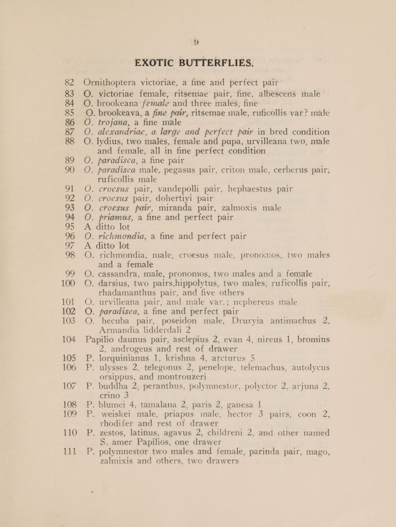 101 103 104 105 106 107 108 109 110 111 bs) EXOTIC BUTTERFLIES. victoriae female, ritsemae pair, fine, albescerns male brookeana female and three males, fine 000 OO OF SEGO90 SO Oo8 . trojana, a fine male . alexandriae, a large and perfect pair in bred condition . lydius, two males, female and pupa, urvilleana two, — and female, all in fine perfect condition paradisea, a fine pair paradisea male, pegasus pair, criton male, cerberus pair, ruficollis male croesus pair, vandepolli pair, hephaestus pair croesus pair, dohertiyi pair croesus pair, miranda pair, zalmoxis male priamus, a fine and perfect pair ditto lot vichmondia, a fine and perfect pair ditto lot richmondia, male, croesus male, pronomos, two males and a female cassandra, male, pronomos, two males and a female . darsius, two pairs,hippolytus, two males; ruficollis pair, rhadamanthus pair, and five others | . urvilleana pair, and male var.; nephereus male . paradisea, a fine and perfect pair hecuba pair, poseidon male, Druryia antimachus 2, Armandia lidderdali 2 bee ee eee HY 2, androgeus and rest of drawer orsippus, and montrouzeri crino 3 weiskei male, priapus male, hector 3 pairs; coon 2, rhodifer and rest of drawer S. amer Papilios, one drawer zalmixis and others, two drawers