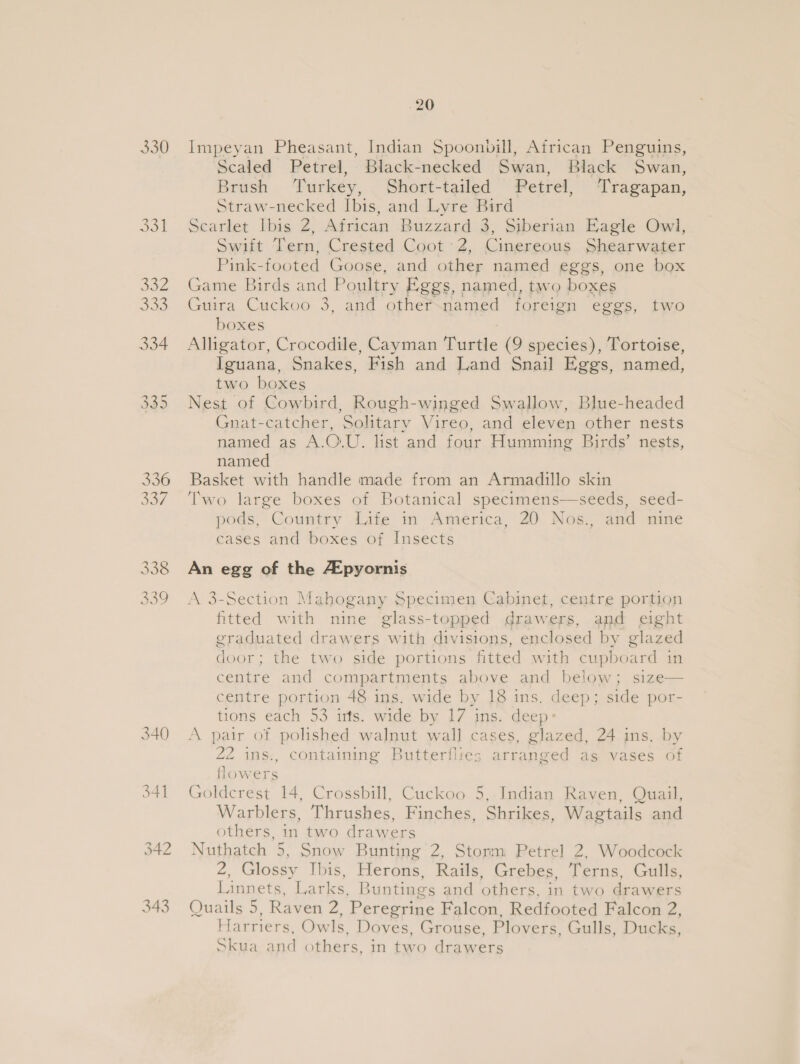 330 Joo 340 . 20 Scaled Petrel, Black-necked Swan, Black Swan, Brush Turkey, Short-tailed Petrel, Tragapan, Straw-necked Ibis, and Lyre Bird Swift Tern, Crested Coot 2, Cinereous Shearwater Pink-footed Goose, and other named eggs, one box boxes Iguana, Snakes, Fish and Land Snail Eggs, named, two boxes Gnat-catcher, Solitary Vireo, and eleven other nests named as A.O.U. list and four Humming Birds’ nests, named pods, Country Life in America, 20 Nos., and nine cases and boxes of Insects fitted with nine glass-topped drawers, and eight graduated drawers with divisions, enclosed by glazed door; the two side portions fitted with cupboard in centre and compartments above and below; size— centre portion 48 ins. wide by 18 ins. deep; side por- tions each 53 irts. wide by 17 ins. deep: 22 ins:;, containing Butterfires arranged as vases of flow ers Warblers, Thrushes, Finches, Shrikes, Wagtails and others, in two drawers 2: Glossy 1 Ibis, Herons, Rails, Grebes, Terns. Gulls, Linnets. Lars. B untings and Fe GAN in two de rawers Hartiers Owls. Doves, Grouse, Plovers. Gulls, Ducks, Skua aad others, in two dieye te
