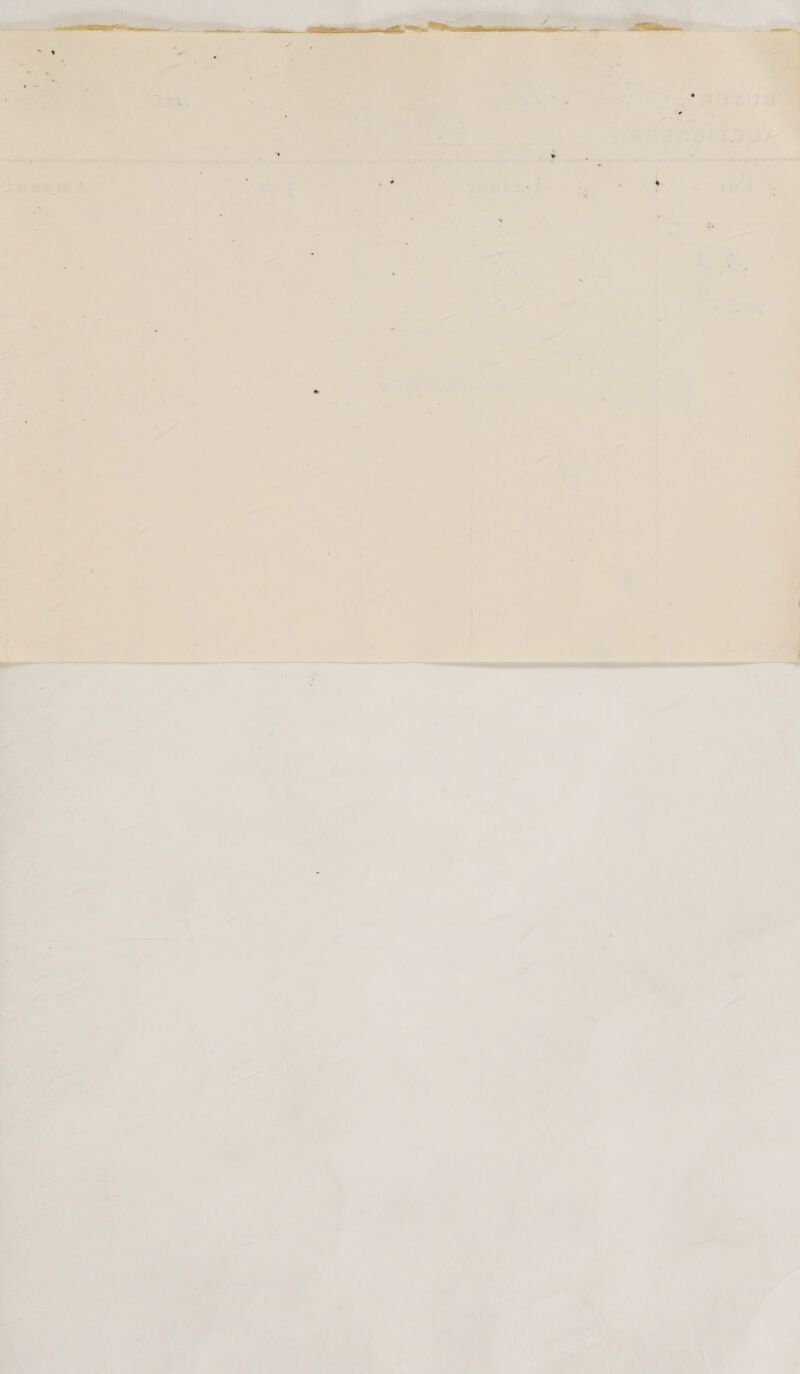 : ee vie : ¢ v if Pay) ; ; ey sy sie ae BA Yu # es re 5 Es Ray rat | a 2 ae Mer TOU a a petiaanimntbn ce ie ¥ * 