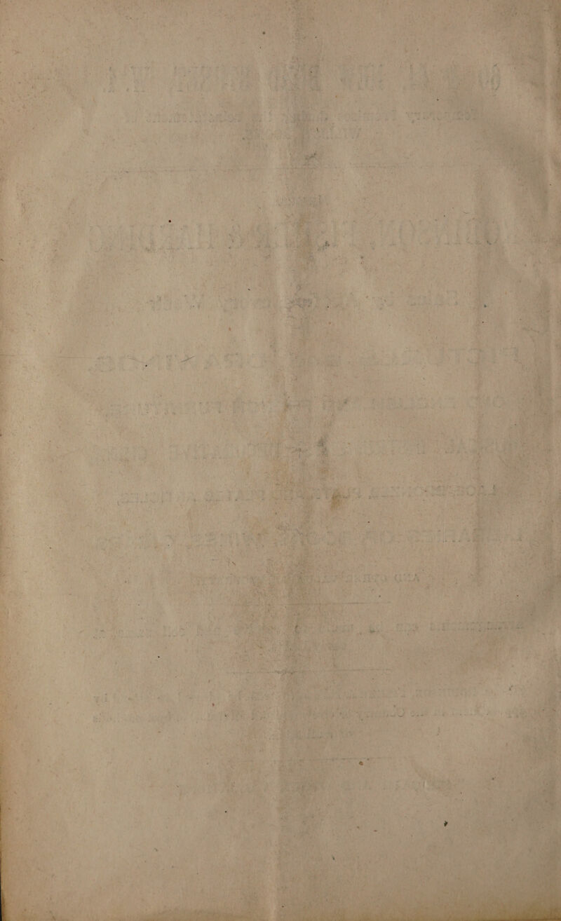 Mee ga 7 ee Ere ee | arub | ‘ *y 