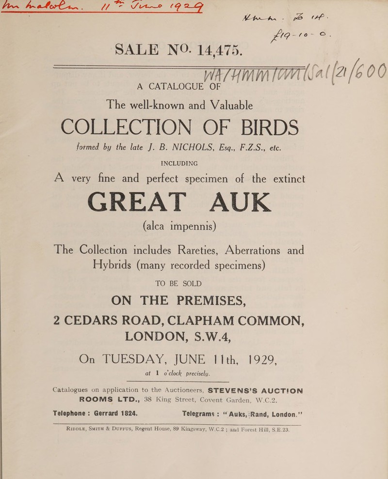 Arrn~ hnratorbrr.. Ur Sit (2 2G   ANCATALOCUE OF The well-known and Valuable COLLECTION OF BIRDS formed by the late J. B. NICHOLS, Esq., F.Z.S., etc. INCLUDING A very fine and perfect specimen of the extinct GREAT AUK (alca impennis) The Collection includes Rareties, Aberrations and Hybrids (many recorded specimens) TO BE SOLD ON THE PREMISES, 2 CEDARS ROAD, CLAPHAM COMMON, LONDON, 5S.W.4, Smee rsDAY.: JUNE tth, 1929, Catalogues on application to the Auctioneers, STEVENS’S AUCTION ROOMS LTD., 38 King Street, Covent Garden, W.C.2. Telephone : Gerrard 1824. Telegrams : “ Auks,:Rand, London.”  (So ee eee eee ee Gee Riwvte, SmitH &amp; Durrus, Regent House, 89 Kingsway, W.C.2 ; and Forest Hill, S.E.23. 