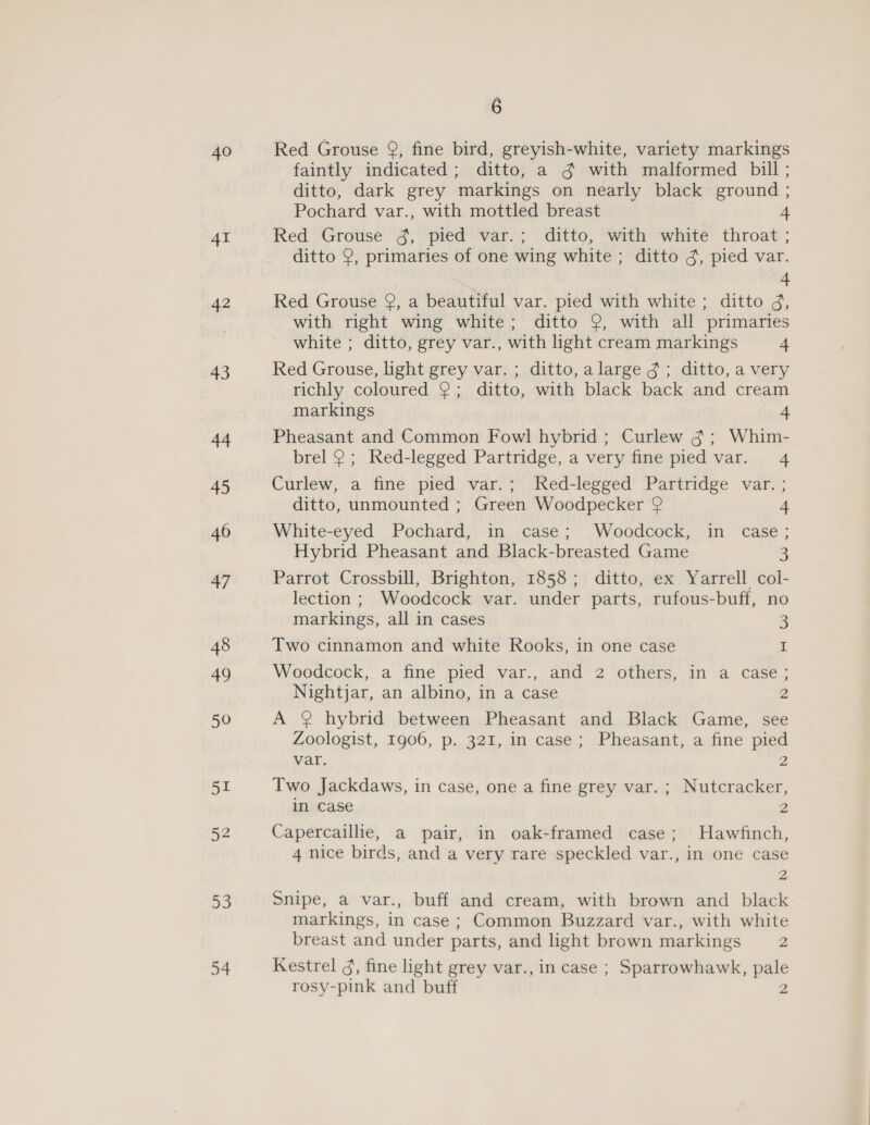 40 41 42 43 a, 54 6 Red Grouse 9, fine bird, greyish-white, variety markings faintly indicated; ditto, a g with malformed bill ; ditto, dark grey markings on nearly black ground ; Pochard var., with mottled breast 4 Red Grouse ¢g, pied var.; ditto, with white throat ; ditto 2, primaries of one wing white ; ditto 3, pied var. 4 Red Grouse 9, a beautiful var. pied with white ; ditto d, with right wing white; ditto 9, with all primaries white ; ditto, grey var., with light cream markings 4 Red Grouse, light grey var. ; ditto, alarge g; ditto, a very richly coloured 9; ditto, with black back and cream markings 4 Pheasant and Common Fowl hybrid; Curlew §; Whim- brel 9; Red-legged Partridge, a very fine pied var. 4 Curlew, a fine pied var.; Red-legged Partridge var. ; ditto, unmounted ; Green Woodpecker 2 4 White-eyed Pochard, in case; Woodcock, in case; Hybrid Pheasant and Black-breasted Game 3 Parrot Crossbill, Brighton, 1858; ditto, ex Yarrell col- lection ; Woodcock var. under parts, rufous-buff, no markings, all in cases 3 Two cinnamon and white Rooks, in one case i Woodcock, a fine pied var., and 2 others, in a case; Nightjar, an albino, in a case 2 A @ hybrid between Pheasant and Black Game, see Zoologist, 1906, p. 321, in case; Pheasant, a fine pied var. 2 Two Jackdaws, in case, one a fine grey var. ; Nutcracker, in case 2 Capercaillie, a pair, in oak-framed case; Hawfinch, 4 nice birds, and a very rare speckled var., in one case 2 Snipe, a var., buff and cream, with brown and black markings, in case; Common Buzzard var., with white breast and under parts, and light brown markings 2 Kestrel 3, fine light grey var., in case ; Sparrowhawk, pale