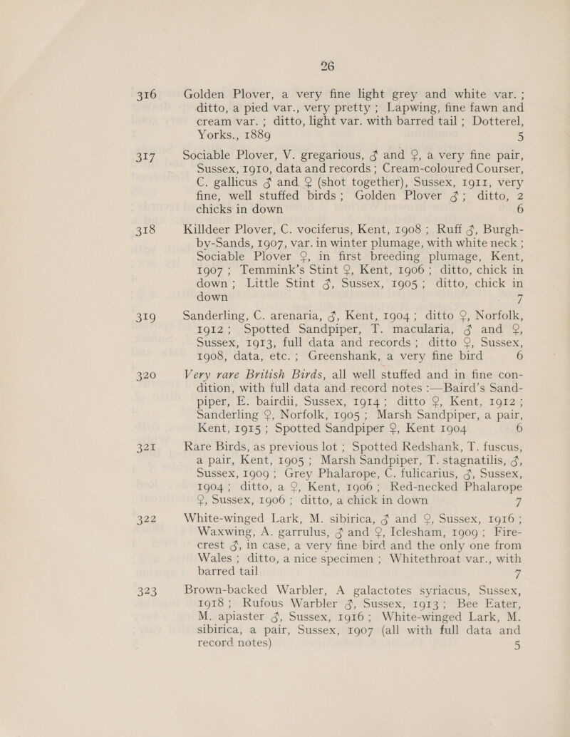 316 317 318 319 320 a a22 26 Golden Plover, a very fine light grey and white var. ; ditto, a pied var., very pretty ; Lapwing, fine fawn and cream var. ; ditto, light var. with barred tail ; Dotterel, Yorks., 1889 5 Sociable Plover, V. gregarious, g and 9, a very fine pair, Sussex, 1910, data and records ; Cream-coloured Courser, C. gallicus § and Q (shot together), Sussex, Ig1I, very fine, well stuffed birds; Golden Plover ¢; ditto, 2 chicks in down 6 Killdeer Plover, C. vociferus, Kent, 1908 ; Ruff 9, Burgh- by-Sands, 1907, var. in winter plumage, with white neck ; sociable Plover “2, ‘ip first “breeding ..plumage, . Kent, 1007 ° *lemmink’s Siint &amp; Went, 006. ditto, chick im down. dattle Stimt’ G&gt; Sussex, “Troo55. ditte-chick ag down 44 Sandering, C. arenaria, ¢, Kent, 1004 ; ditto. 9, Noerfelk. 191Z,&gt;-Spotted Sandpiper, 'T. -macularia;’ ‘4 and’g, Sussex, 1913, full data and records; ditto 9, Sussex, 1908; data;‘etc.!+~“Greenshank,’a very dine: bird 6 Very rare British Birds, all well stuffed and in fine con- dition, with full data and record notes :—Baird’s Sand- piper, E.*bairdil, “Sussex, Tora, ditto ¢ ‘Kent, 1925 Sanderling 9, Norfolk, 1905 ; Marsh Sandpiper, a pair, Kent, 1915 ; Spotted Sandpiper 2, Kent 1904 Rare Birds, as previous lot ; Spotted Redshank, T. fuscus, a pair, Kent, 1905 ; Marsh Sandpiper, T. stagnatilis, g, Sussex, 1909 ; Grey Phalarope, C. fulicarius, ¢, Sussex, 1904; ditto, a 9, Kent, 1906; Red-necked Phalarope @, Sussex, 1906 ; ditto, a chick in down x White-winged Lark, M. sibirica, g and 9, Sussex, 1916 ; Waxwing, A. garrulus, g and 9, Iclesham, 1909; Fire- crest g, in case, a very fine bird and the only one from Wales ; ditto, a nice specimen ; Whitethroat var., with barred tail ‘4 Brown-backed Warbler, A galactotes syriacus, Sussex, 1918 ; Rufous Warbler 3, Sussex, 1913; Bee Eater, M. apiaster g, Sussex, 1916; White-winged Lark, M. sibirica, a pair, Sussex, 1907 (all with full data and