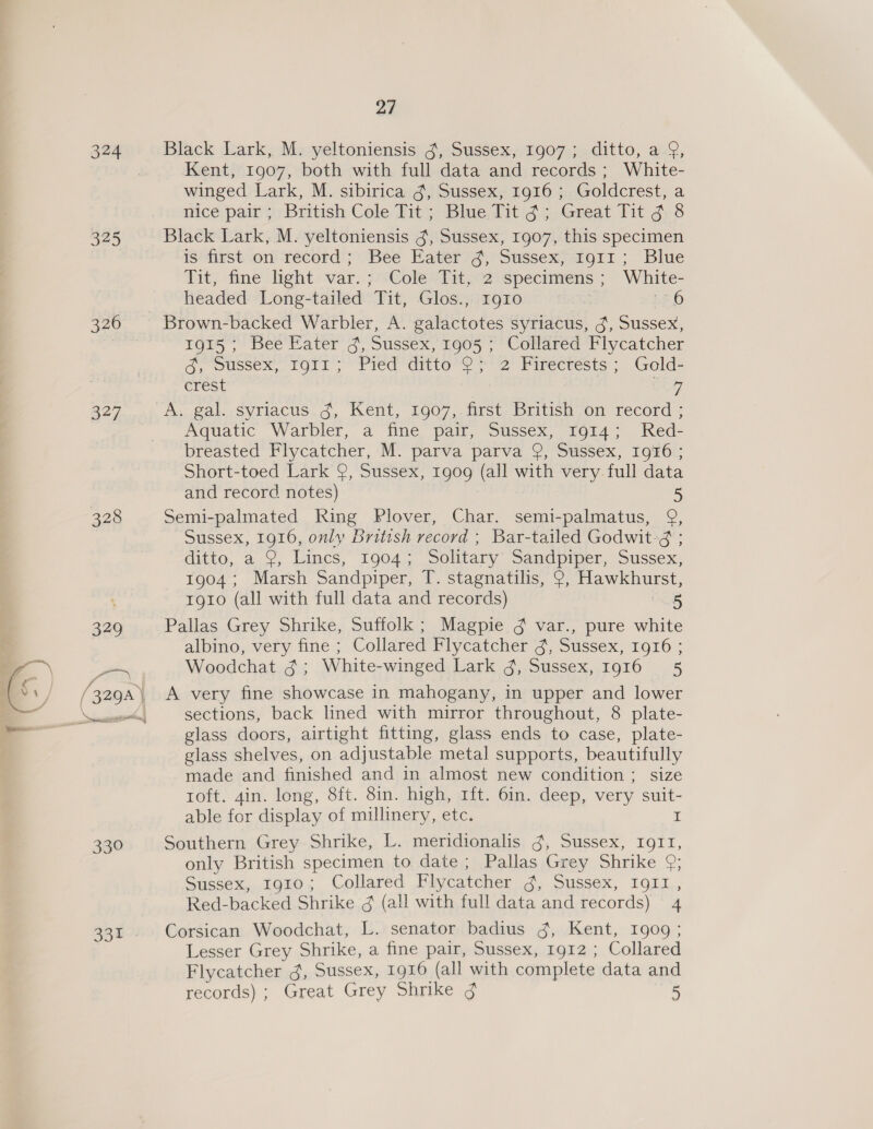 324 325 326 327 328 339 331 27 Black Lark, M. yeltoniensis 3, Sussex, 1907; ditto, a 9, Kent, 1907, both with full data and records; White- winged Lark, M. sibirica ¢, Sussex, 1916 ; Goldcrest, a nice pair; British Cole Tit ; Blue Tit §; Great Tit 3 8 Black Lark, M. yeltoniensis ¢, Sussex, 1907, this specimen is first on record ; Bee Eater ¢, Sussex, 1911; Blue Tit, fine light var. ; Cole Tit, 2 specimens ; White- headed Long-tailed “Tit, Glos., IgIo ox: 2 EO Brown-backed Warbler, A. BalCtotes syriacus, J, Sussex, 1915; Bee Eater 3, Sussex, 1905 ; Collared Flycatcher a, Oussex, TOI) > Pied ditior 2 2 Piréctests | Gold= crest Cog A. gal. syriacus ¢, Kent, 1907, first British on record ; Aquatic Warbler, a fine pair; “Sussex, 1914 Ked- breasted Flycatcher, M. parva parva 9, Sussex, Ig16 ; Short-toed Lark 9, Sussex, 1909 (all with very full data and record notes) 5 Semi-palmated Ring Plover, Char. semi-palmatus, 9, Sussex, 1916, only British record ; Bar-tailed Godwit-g ; ditto, a 9, Lincs, 1904; Solitary Sandpiper, Sussex, 1904; Marsh Sandpiper, T. stagnatilis, 9, Hawkhurst, 1gio (all with full data and records) 5 Pallas Grey Shrike, Suffolk; Magpie ¢ var., pure white albino, vety fine ; Collared’Flycatcher 4 Sussex, 1916 ; Woodchat 3; White-winged Lark g, Sussex, Ig16) §=55 A very fine showcase in mahogany, in upper and lower sections, back lined with mirror throughout, 8 plate- glass doors, airtight fitting, glass ends to case, plate- glass shelves, on adjustable metal supports, beautifully made and finished and in almost new condition ; size Toit. 4in, long, Sit. 8in. high, ait. ‘Oin, deep, very ea able for display of millinery, etc. Southern Grey Shrike, L. meridionalis g, Sussex, IgII, only British specimen to date; Pallas Grey Shrike 9; Sussex, 1910; Collared Flycatcher Soasicsex, TOLL, Red-backed Shrike ¢ (all with full data and records) 4 Corsican Woodchat, L. senator badius g, Kent, 19009 ; Lesser Grey Shrike, a fine pair, Sussex, 1912 ; Collared Flycatcher g, Sussex, 1916 (all with complete data and records) ; Great Grey Shrike ¢ 5