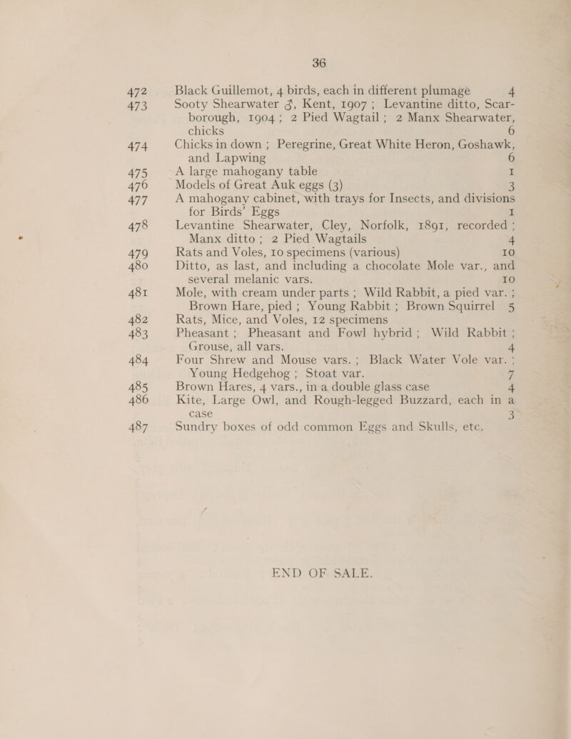 472 473 474 475 476 477 478 479 480 481 482 483 484 485 486 487 36 Black Guillemot, 4 birds, each in different plumage 4 Sooty Shearwater 3, Kent, 1907; Levantine ditto, Scar- borough, 1904; 2 Pied Wagtail; 2 Manx Shearwater, chicks 6 Chicks in down ; Peregrine, Great White Heron, Goshawk, and Lapwing 6 A large mahogany table | I Models of Great Auk eggs (3) A mahogany cabinet, with trays for Insects, and divisions for Birds’ Eggs I Levantine Shearwater, Cley, Norfolk, 1891, recorded ; Manx ditto; 2 Pied Wagtails 4 Rats and Voles, 10 specimens (various) 10 Ditto, as last, and including a chocolate Mole var., and several melanic vars. IO Mole, with cream under parts ; Wild Rabbit, a pied var. ; Brown Hare, pied ; Young Rabbit ; Brown Squirrel 5 Rats, Mice, and Voles, 12 specimens Pheasant ; Pheasant and Fowl hybrid; Wild Rabbit ; Grouse, all vars. 4 Four Shrew and Mouse vars.; Black Water Vole var. ; Young Hedgehog ; Stoat var. 7 Brown Hares, 4 vars., ina double glass case 4 Kite, Large Owl, and Rough-legged Buzzard, each in a case Sundry boxes of odd common Eggs and Skulls, ete. END OF: SALE.