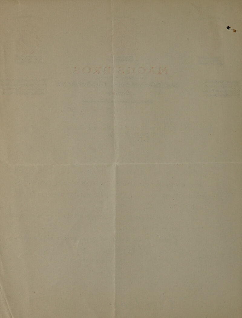 Bieouts. |; hia ty os seh 