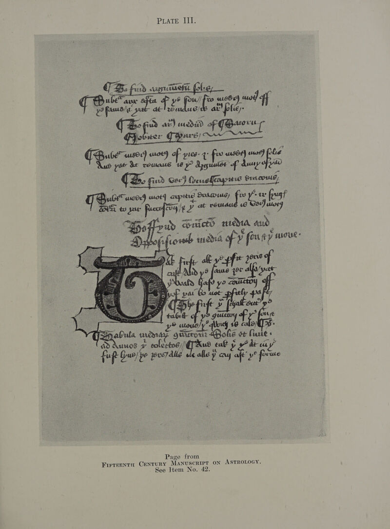    to usc) wold e ax! pias  : B: Cea op eel apr Sud we yrte fy pug ERE ty yar or ad il - i Be wd wacko snuddia aad | ¥ me fot ddia fv v fo fy side      afula a: giaceout ae ot Lae ; ad 4 uuos ¥ calecetos,/ p uaa oustalle pile aoa Ay aft’ rf : Page from FIrTEENTH CENTURY MANUSCRIPT on ASTROLOGY. See Item No. 42.