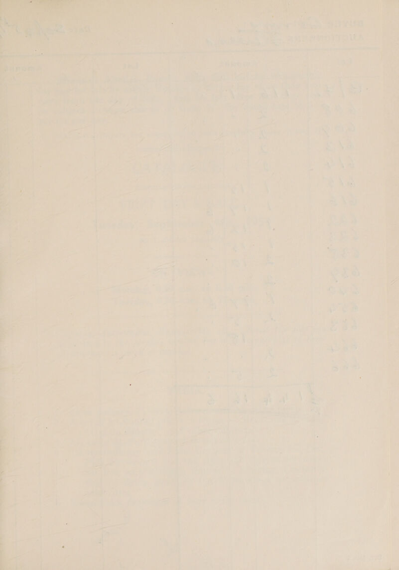 “i is mst iv? Nae = n Tan? Sl ee vey rm ava oe ae ; uy 4 Py Ter ed Gs at ‘ . + ep rl 7 f “ae Koel e i i w a ae cat al % ata 4 Pg eae as Pe ie pei ne area i. i, sas Ny ’ er I 