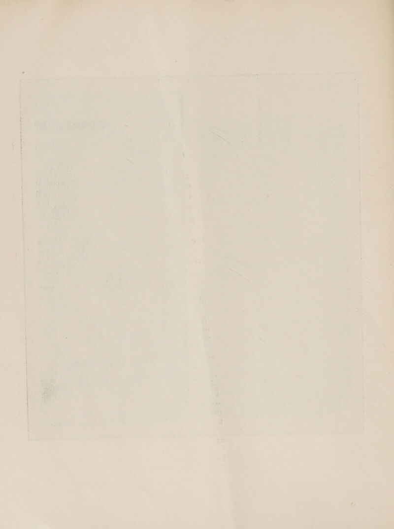   ie a Cate Sa Rio ae ey aly mae)     + searsceeal! rata an SOM NOES AD oY tafe I H « = HS 3 : : , Le ee ae i Aye Fe ee a “,   ij Se ae iA Ay a= 1am i oe OTT ei En Oe « . rss  — : > . ayy Pe oe 2 5 nase 7} ; is ~ a. t re ‘ ee 7 ; Pu ae : ‘; tae Be ~ ; am vee ~< ; . 1 Vos ; Ge. ‘ oy) « ia i ee , 5 : } 7 a) ' a, oF a“ . Se _ Ae = 7 sl « st . - _ ¢ iB a 