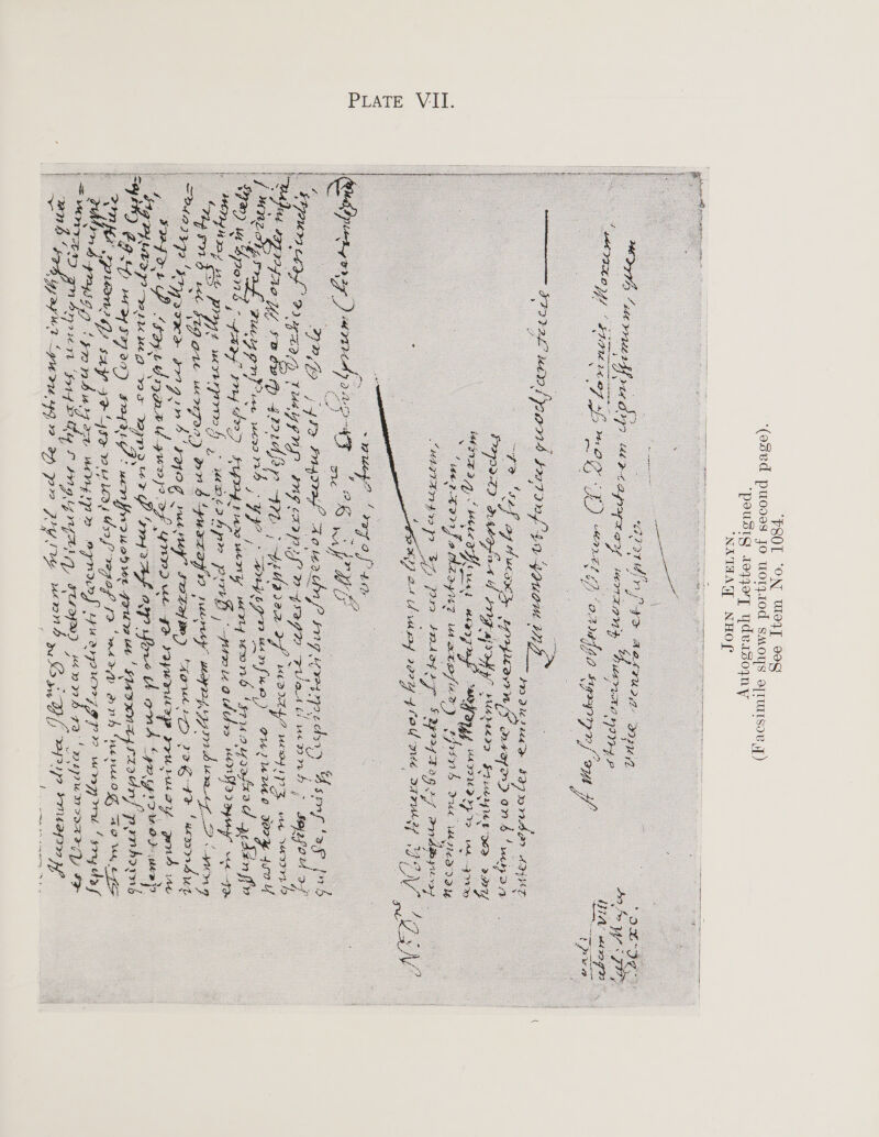PLATE VII. ‘P80 “ON Ulex] 90g ‘(osed poses fo uoly1od SMoYsS erUISoR 7) ‘peusig 10qqory ydeasoqny ‘NATHAW NHOL? pede ARE sistent cmon   - : : : api YE YS AOU. 29396 y7 ON Og. “of Us DG es a I 2s 1 ee : 77) wee reff vit 9p) eet apary ou wemaany “busi wipe Cee as of : sf to oS g aD 972. é Se, On wetaa Lygepyn { o7t UA — Tpke : : : : : : &amp; - one Py . te : S : as paamge _ : - eS eS ‘ ‘ : — wprraeuent pend bz vaf 49 youom Wp — a\ oe : «4 &gt; 4 R ne  : : | a. 2 a : : : ~ oo Pe ca ay ) arnidy ee 6) a oe S a Wa iy  , fg oy - sary %. ee ge Th Ey waren od ae ig Fis, Tae wri g yr Be yog re ny” SATA) en one ou eee tone nen reer YF Oe Nh yee PIO kph ce ee ese emrenspravony ponkoral i . C2 SD ME DT F770) pragiig. uacrr fro hod Wwe Gau ‘ La g ES “ J £ PALO SE “ae VW, Oe } Wind PIR say ro 492 0 os dof pF oe ee ; oe oe ‘sry dy b&gt; 4:p4399 tpn b 3g ore Wag I agra) Bu e772 | “= olla code) oo aay ‘Srtf x hey £ Oe: As es VY FLL) pala de eae ad