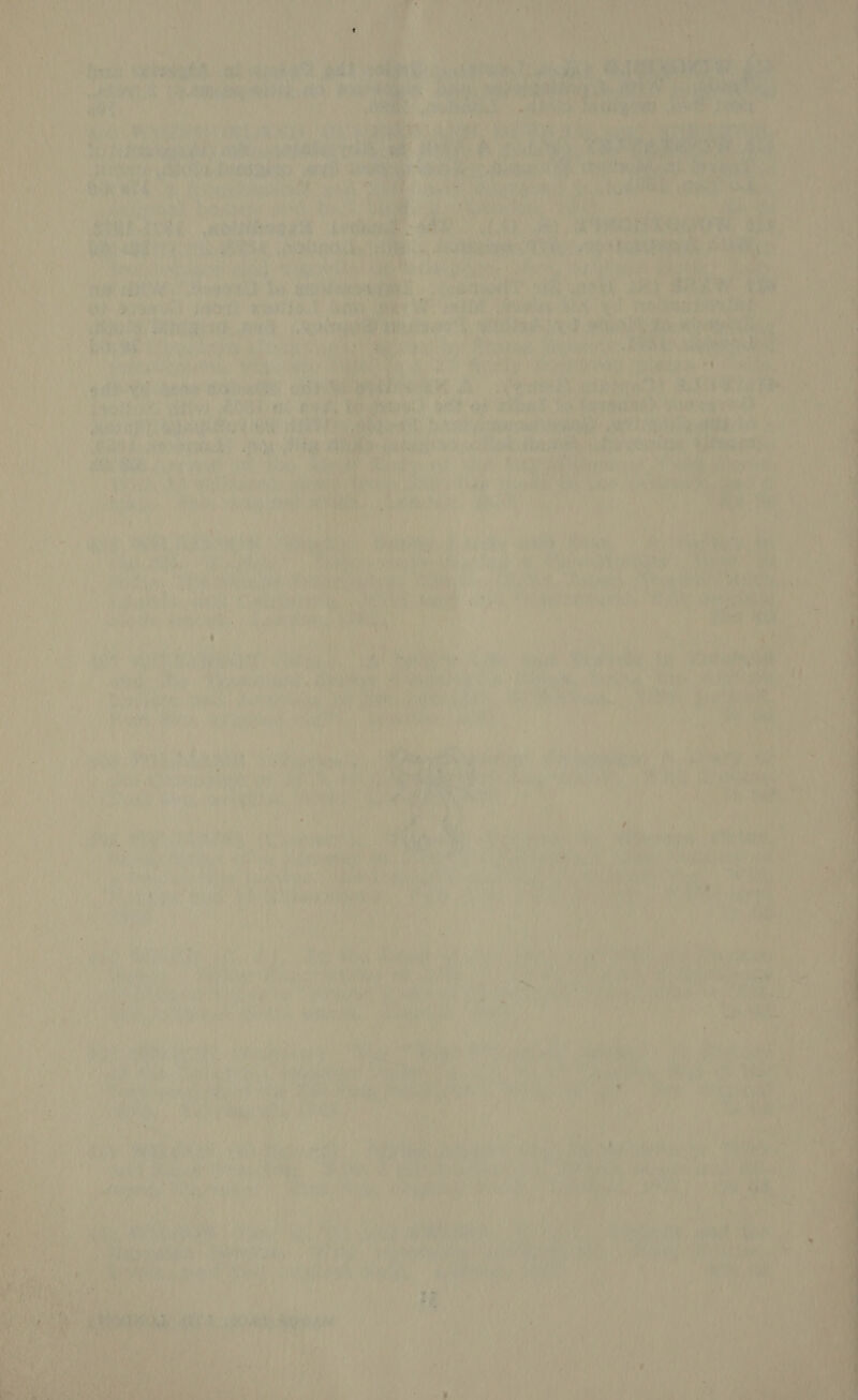                , Mh “ a ie ere is r eas me vty SH ve Ap apy ety os $4 1S Oe Abe &amp; Mi SehGne 7 X Nik f mbes MeN ae ‘ ay = 7) f oe: Y A % ha i i EES 9 Remains A STP T RN ty a a Teal Dice, SAAS A + i’ ASO bek3 of wert ree Saf Gl f br i] , Pe * { Pat 2 syothe Ny  hala he RAR b Pa a *, GRURIY be! © ae Ba et Ai ana ck Pit Aer ae ee TO ie) a aes poke Yt: cig A  es ‘ i At Pe | ann M ‘ ¥ Y   ih \ a ! iy : re ae ' wt ON haa ay. Se y Wey e Pe: ‘ A a TC MAA ae a 4 : ee tt y ay vi r \ + -  ‘ j Bish | ¥ Are a. a yal aa Sd) ny, Jie if ( ifs 7 har  ; j Why 8, b ' ’ ial oe ie es ) bid i ithe ate AY die vr bk? ‘ hy 7 5) ria eras ‘ aw, eee es 7 Gra ai Wa } 7 Age t , y vu ere 1M ahs : Py) me ‘ My 7 j #1?) jt  A Alea Me pea} 
