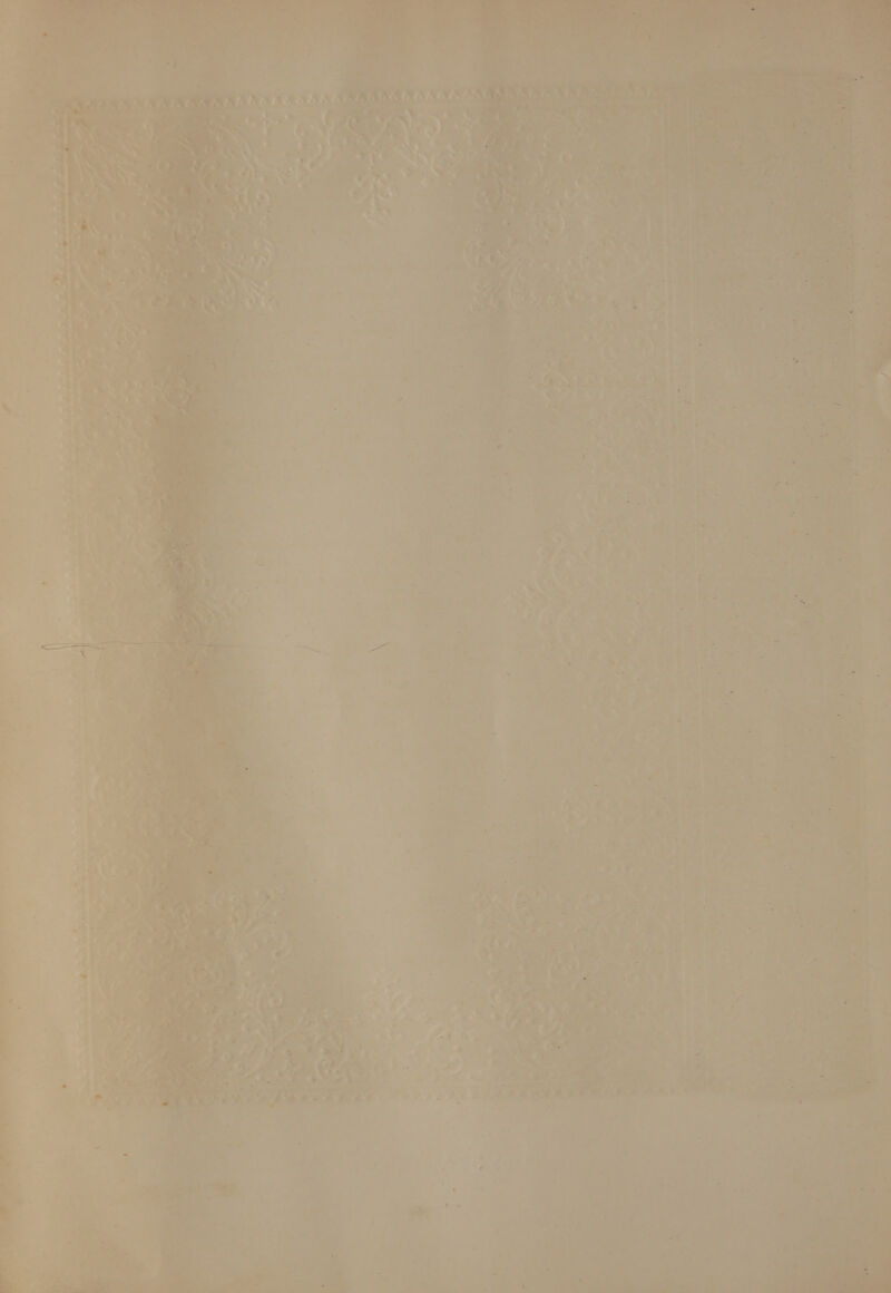 7 “a scene + 2pm et nna» te te ers —_ = ~~ - ° ~~ -~ eee ——— a    —— +» b 1, a pe he. _o4 ners (ake ‘ i) a = “ > A eS nl J: Calis Mater yer ' roa was 7 _ _ : as ii