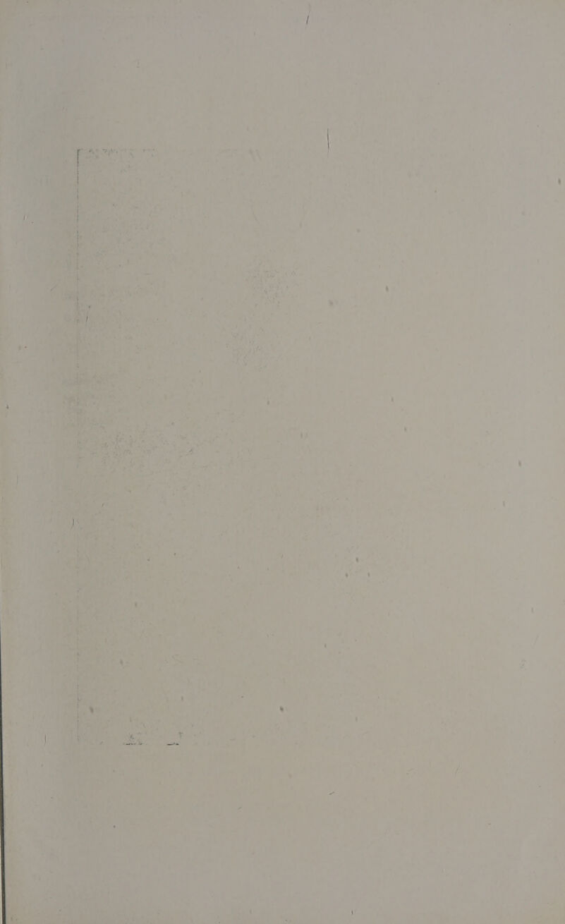  g ae ' 1 rl a- 8 5 ee area y Dime if Cer ms ‘ * . ‘ ae - ‘ ; f wt, ef “ 4 : Toh ‘ * ; ‘\ Wy = a re bad te a ; _ 7 &amp; *y , Pa  ay,