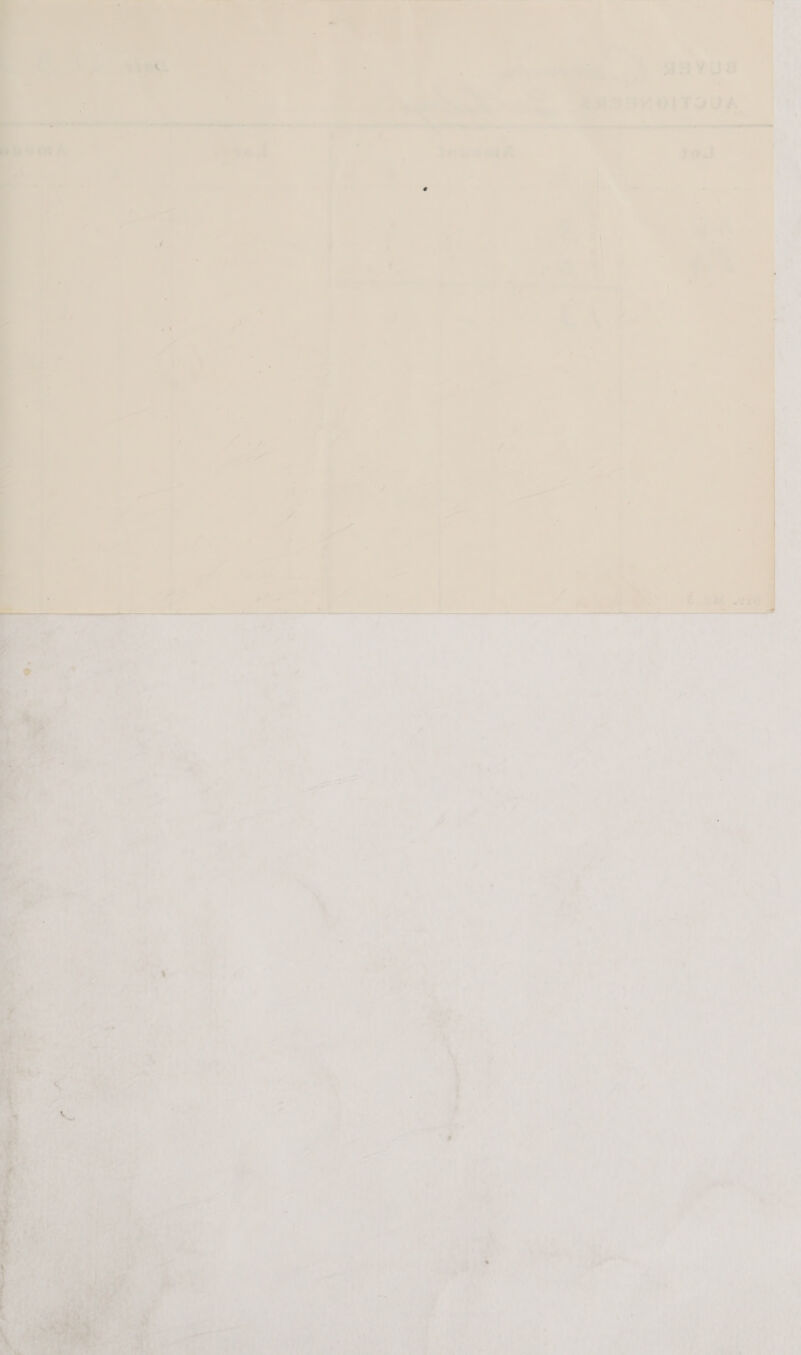 | BMAYus ZN SRY 01ITIVA  aon  | ‘ a A EE ET  jo.) : . f \ ‘ i 4 % } 4 J | : i ‘Se | a 7 ‘ t uM weg ) a i y ¢ P 1 ie , q Vs 4 4 i \ ‘i vou r Bs ‘ Jee an oe”, en ge a oie ; _ ; Do) bia brad > i] aa | | ings ; 4 5 = i es 7 ; , im Mast era? Or ee Pe citys | ‘ AL eee ‘ LY ae A ee A ee Par ¥ “t ‘ee . : dee 4 ey Oe oie erg o7) ined ; ae pei Be h Be: ary ite? rye) \ aro » A | eke Bie: ie