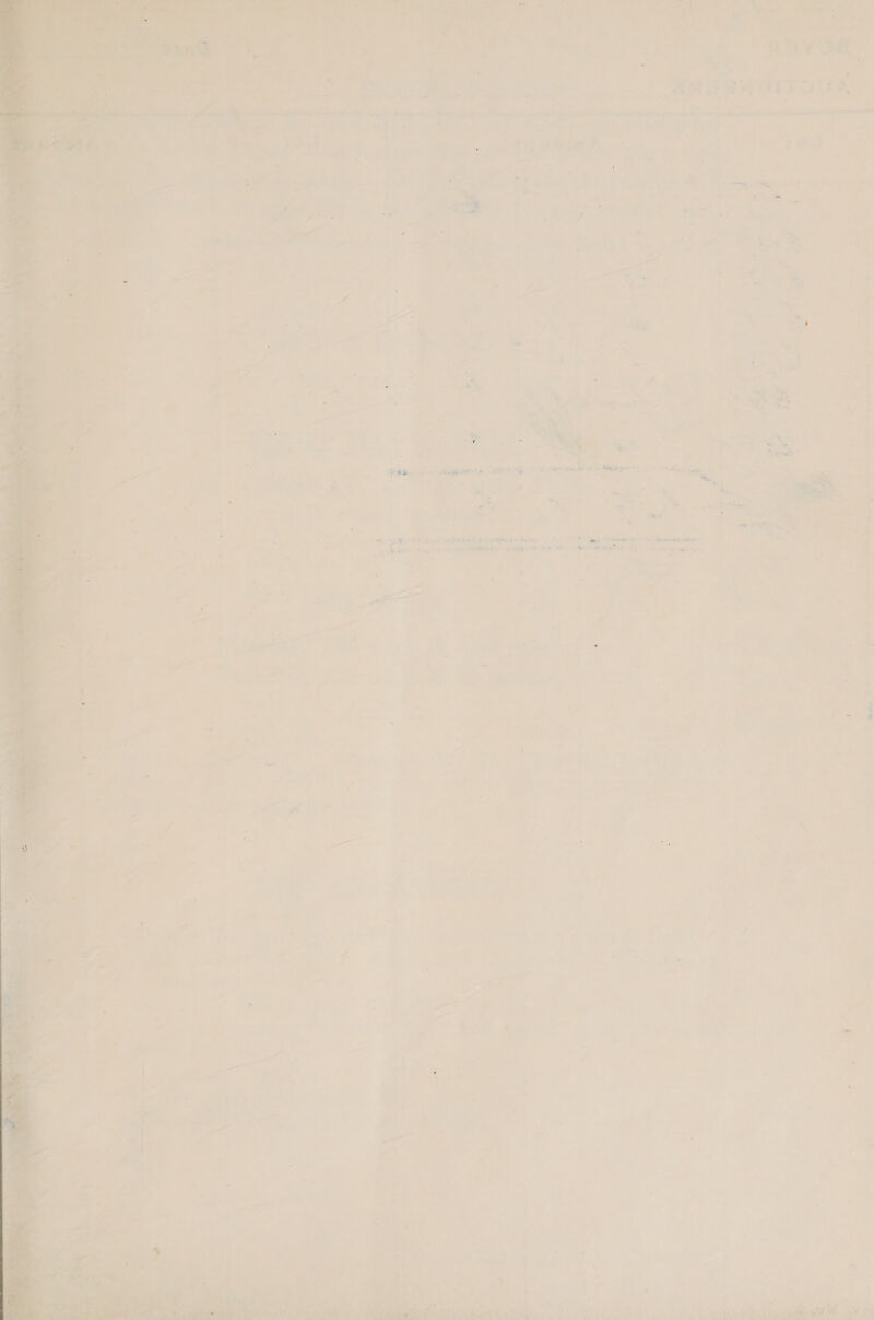            WOME vic dak HA peice oo) Oe i  es tea { kane 2 -¥e i a eel @ oy va =a ele a Py Tones ’ j &gt; 5 er x   ae eet a ee : , a ee oe ) er A tar ; , pas = ‘ ’ : ~ Ee ees man pA erS Noes eh inlet a evn, : or aa . elke nee wip Se pero chs res Hoa Ay ee ; — ts  poate tle i ars: = —— a 7 S : a 7 A : Et r uy , » &amp; 4 ’ . . E : a yy ia ing : ho a 2 — ; a ale oar io + - Shes Yee ¥ mR «= at . « ‘ oe “ : 7 ; = ae .. + il hea ’ b @ a tga Os