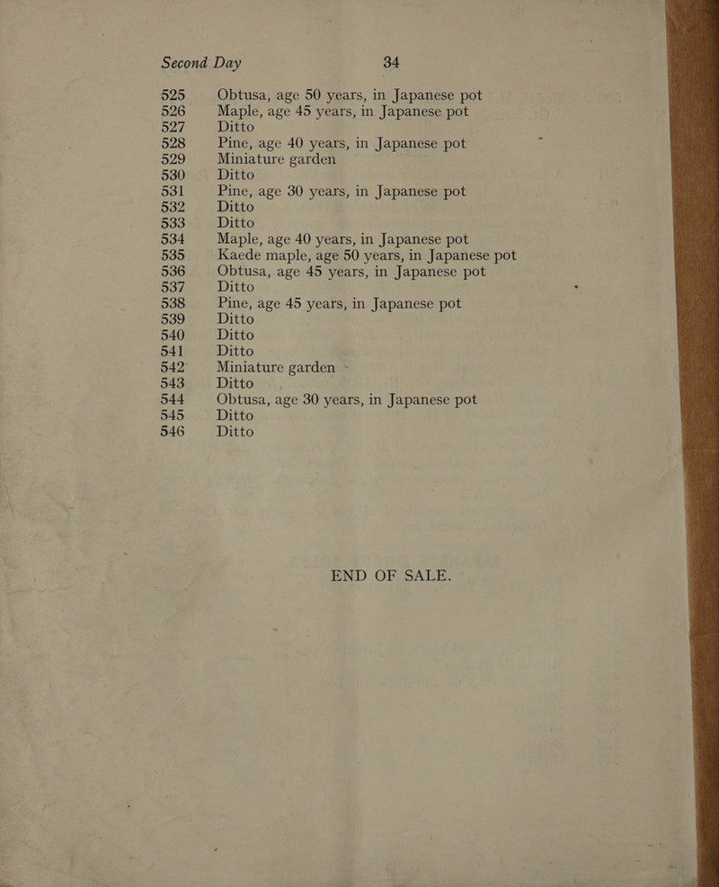 525 526 527 528 529 530 531 932 533 534 535 536 537 538 539 540 541 542 543 544 545 546 Obtusa, age 50 years, in Japanese pot Maple, age 45 years, in Japanese pot Ditto Pine, age 40 years, in Japanese pot Miniature garden Ditto Pine, age 30 years, in Japanese pot Ditto Ditto Maple, age 40 years, in Japanese pot Obtusa, age 45 years, in Japanese pot Ditto Pine, age 45 years, in Japanese pot Ditto Ditto Ditto Miniature garden ~ Ditto | Obtusa, age 30 years, in Japanese pot Ditto Ditto END OF SALE: 