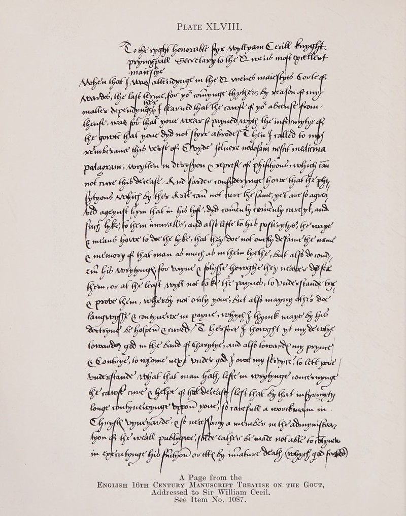 BEATER oy LL CH of xypat + honexa ble Abylpam Cen ale “ wecvelax fo Ge D-weise oft &amp; | hohe Gel sos alles dysege wn Uae wenct mare nes ial Aroarkee, the’ fa ae yo omy ee gmables NE abe >f a lpi a if L, ae i, ee Rotor your’ gle cra He: afte me my Lees the se ch de” foluexe aap nepht medica ae MH crathow ¢ x€prt te CFLS 1a pap ne “sys > pate [Gorn Uyak 5x7 er KY Spat Ban ef i Thee fd Ht 93 ay Foricily narelyb asd [0 “ob Gem psn OY, i Geb po sey hyed Ge amy Vane bor’ to Se Ke &amp; be, tak U not Ll oee Cera Wal man aaa as 190 (fhe QWNir, &amp;i AE jer kin = bib Aorplreg® Dayne’ sp ge Md vad oS ve Ferm row al Ge be ¢ Avykt oF Ga tf ‘powered, bo 21d 4) by @ Pre’ Gene, vk why nok orily yours buf ale snayrey afta Loc’ fa Grom feces’ ane pagnees Pf onS F sb rasp fib Derbraong? &amp; holpew eRe Beapowd § Garnet yh ony Serbs (orardey gms Be! fi sacl tie elem 6 Conkiye’ fo yore’ wt gS} [brite FE geue | Koureafhase? Mobat fal Hisrors Half Lies mae Lover nagn Ge rte rane Gee GR GRAM (EH ak Sy Gk inf oe a Gyiecterysage’ ga) youre ley, A wow aaa ? K raynavane’g b weicbary a Bers yu Ee Deyni ragyrne’ falfer S/d notable bo ty an ow hl By wecetbarre Seal ehh | A Page from the ENGuisH 16TH CENTURY MANUSCRIPT TREATISE ON THE GOUT, Addressed to Sir William Cecil. See Item No. 1087.   