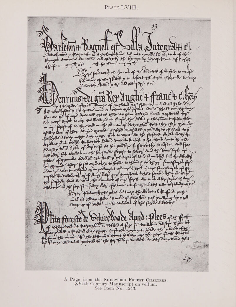 PRAT Ea evel lle  s rt es eine Ce = A xt , pane tee’ pel ton ere AB ott meth ‘ors yes a plow ih ip ese Ore Ae 4S b mdb io a nee Te uv 33 we if’ dR AC Hot pps cpp ieee re Apis 9 1p ce My? eye’ EMSS IB oe ay ras a mop Meyry O° OA bein oh Nonte 492 0f- , p&gt; te not 9) a e re AS Fie py MEA Syke of Sof, BY PTY ripe perl ‘ae: “oa ee pre So alr fi Salar a Lope mo dehe? pniee ng miiald toe Pate sire ay = en deste   A Page from the SHERWoop Forest CHARTERS. Item No. 1248.