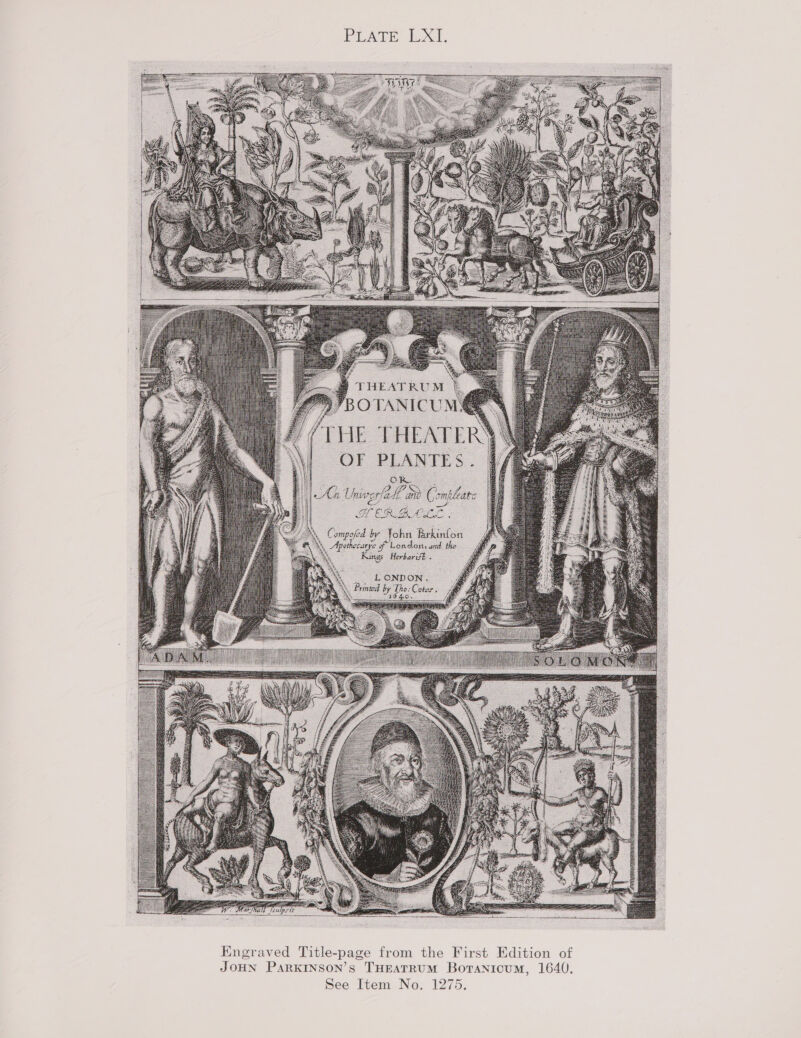 PEATE XI,   are Ra A. M, Compofed by John Pekinion \- A othecut tye ue “London and the i Herbari . 4 eee    Engraved Title-page from the First Edition of JOHN PaARKINSON’s THEATRUM Boranicum, 1640.