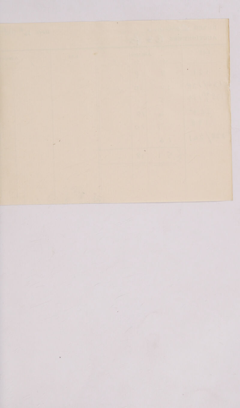 1 te er: e ioe » he my <2 _ , i = 