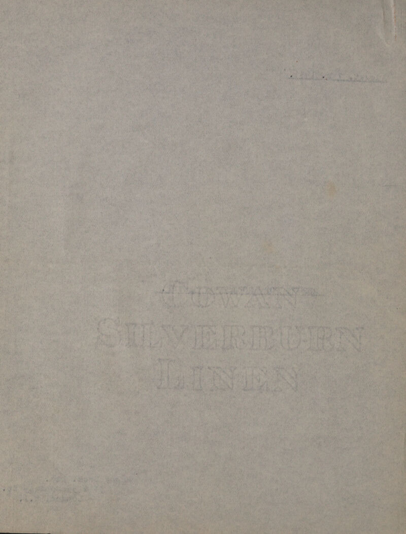 aN | WAN Th *) iy $s %; Ws a RAS DUN nant: 