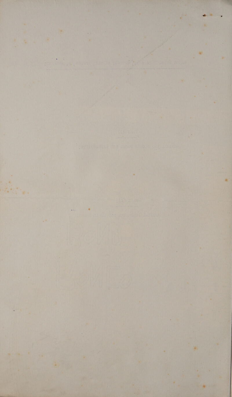 \ (OAT ie .) Bete ‘ aN reac ine ee ee ee ee aeactastigns sa Aed-diie-o-0s ' Lal vA « te 15 ; te) hee er Ue ; Pee a! Pa 