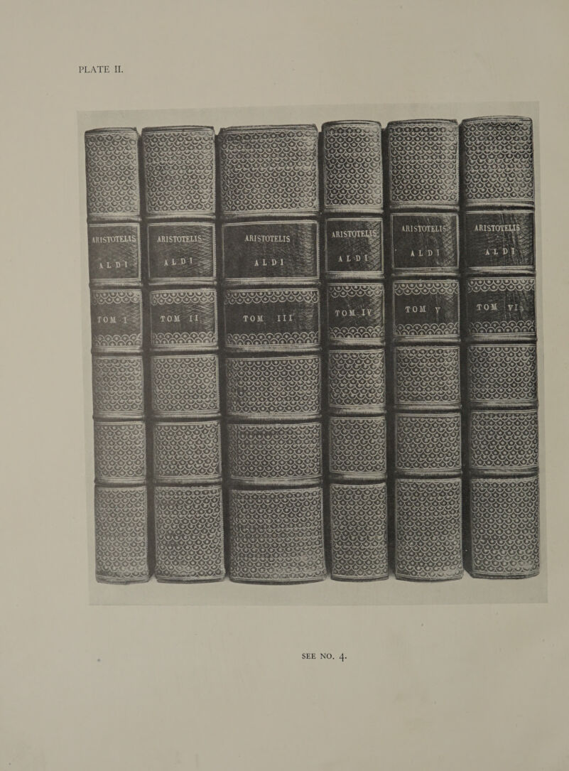 PLATE TT.   are * Ta ty FAR AE % 4? ice AEA KE A R® SESS SEE NO, 4. VEVEN EN RY RY &amp; Ver VV RYN EYE RYE | — i TREKS Rah sh 