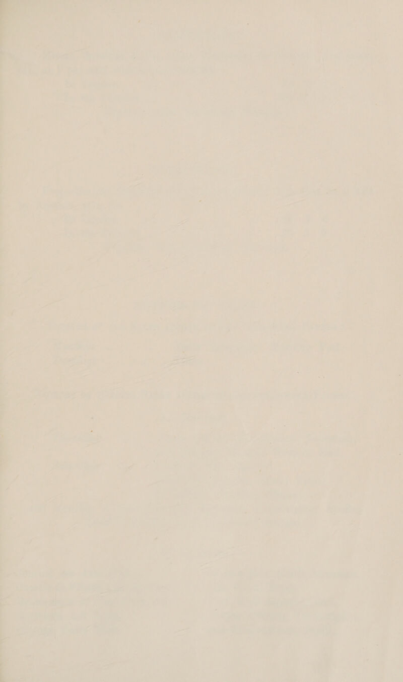 ey ey ; ’ Tate 7 hs a i 2 a rs “> ae Bt ie ‘: re ‘; * oe are, ow ; ae ~ y = ar 