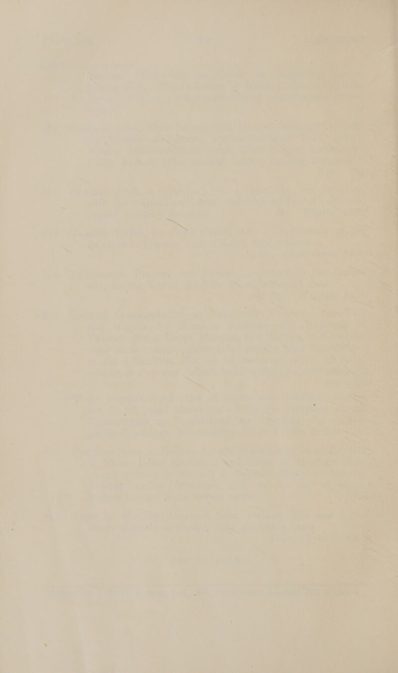     7 me 7 Rk ie > tote: eo ae pire md et eed Bee Bo bie ip; te Am Ys: _ ‘ j ape 7 ‘ . a ee , tT. ae ie fhe iat Lace i = ~ ve - eS i te yeh eps C5 mt ) ' ae ® ‘ Le On . Lace ) oe ; : 4 » = ’ ii if M > . om i] z e ; ‘ :. zt ! + 7 ‘ X 4 ve Sane ; . - a! rl = cane wen = xt ; ) , Pigs go . ~ WS sie: ‘ q ; ; ‘tek &amp;. a Le Bite c F . : 4 : — \ in : - = A nad ey au i - : a SP: I , i I Kt i ; ees % a : 3 ‘ iu ike ie ae Ss a ne ” él se wT ee Be oer a ‘ a b9 + ‘ : 3 ~~ ‘= ee Jor is '. Feal doris fs Sets Thins Bok . 4 i a baie J ie : yy aes ie, ‘ : nee recs Fs : ‘ . . ‘so > a. i a Sh hi? 7 : L A = ( aA y wets z 4 ' ; \ = , SS ‘ y of  = Ln ‘ _ , ¢ ‘ yy = ee ; 1 ar: ; a ~ 'y ae 4 { S50 _ - é — | A P : Nee ee s - ‘ . > + ¥ hina veg bs Fe 7 Peake k aan! ir ae &amp; ° : * ¥ e ba, . s dab oe i> + 4 7 es henr for ie ‘ * * - a : 1 ahs | i ij pee M ; Ah &amp; Kano: Lele) hetaguts aed y nae oe : n% ! ¥ iv iat ; a ’ nr. ie ae 4: me me AN) aan oe a = inte 7 re § i “4 x ae. ‘ 7 A t id ; ‘ 5 : cy ) ® é 5 fF L< zs f * i H< i ; ( — ; é a Fee 4 * » | ¢ . . a) iS ~ : 7 ae] aT) ' ai Mt } i i 7 » _ °y a +e re ‘MF ‘3 i an i * ¥% 7 . ee é. *) (6, 4 ‘ . a : 7 my : 4 fc THe : iy ro 3 ew a a) ee vga ver: ; isa somali nye ‘ _ dey pene | a See, aes, Re oh Tai t UA om} Aas      Nac oa - ne eg ty 