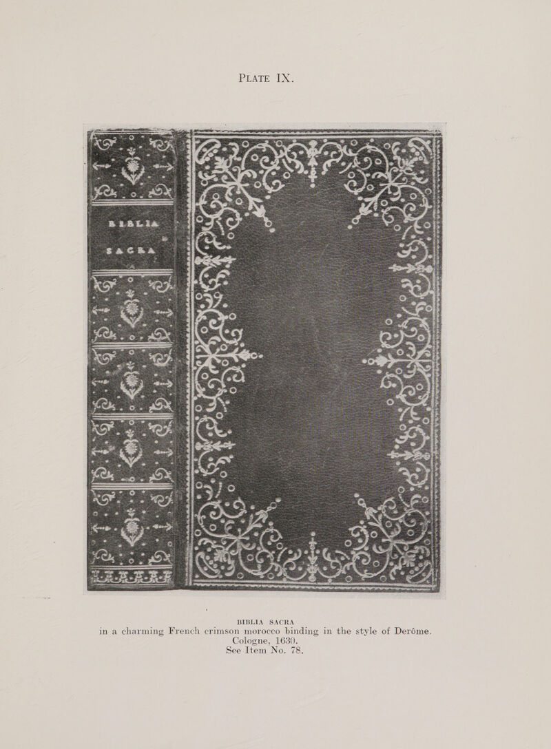 PLATE LX.