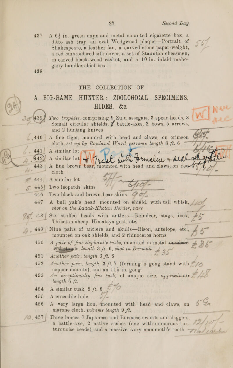   27 Second Day 437 &lt;A 64 in. green onyx and metal mounted cigarette box, a ditto ash tray, an oval Wedgwood plaque—Portrait of =&lt; Shakespeare, a feather fan, a carved stone paper-weight, a red embroidered silk cover, a set of Staunton chessmen, in carved black-wood casket, and a 10 in. inlaid maho- gany handkerchief box a) 438 THE COLLECTION OF A BIG-GAME HUNTER: ZOOLOGICAL SPECIMENS, Somali circular shields, battle-axes, 2 bows, 5 arrows, and 2 hunting knives -  - f ‘i Fy i 440 | A fine tiger, mounted with head and claws, on crimson 7 es 441) A similar lot V5 L G42) A similar ot Ye 443 &lt;A fine brown bear, Wek with head and claws, on re ¢     g @ 444 A similar lot Pa: : f i. : , es s 445{ Two leopards’ skins ity co, (= Fase — 2ST NNN IE 446 Two black and brown bear skins oh Or, 447 A bull yak’s head, mounted on shiéld, with tail whisk, Lio shot on the Ladak-Khotan Border, rare ll Gs 448 | Six stuffed heads with antlers—Reindeer, ' stags, ibex, PS . Thibetan sheep, Himalaya goat, ete. Borer, 449 - Nine pairs of antlers and skulls—Bison, antelope, etc., £ os mounted on oak shields, and 2 rhinoceros horns _# ag zeiephes, length 3 ft. 6, shot in Burmah £2L7 451 Another parr, length 3 ft. 6 i: 452 Another par, length 2 ft. 7 (forming a gong stand with */4 r 4 ~ &amp; copper mounts), and an 114 in. gong ut AG 453 An exceptionally fine tusk, of unique size, approximate © length 6 ft. - 454 A similar tusk, 5 /¢, 6 455 &lt;A crocodile hide D le : marone cloth, extreme length 9 ft. . oo) i ot iw | Three lances, 7 Japanese and Burmese swords and daggers, a battle-axe, 2 native sashes (one with numerous tur- “«&lt;« /¢ turquoise beads), and a massive ivory mammoth’s tooth -r» 